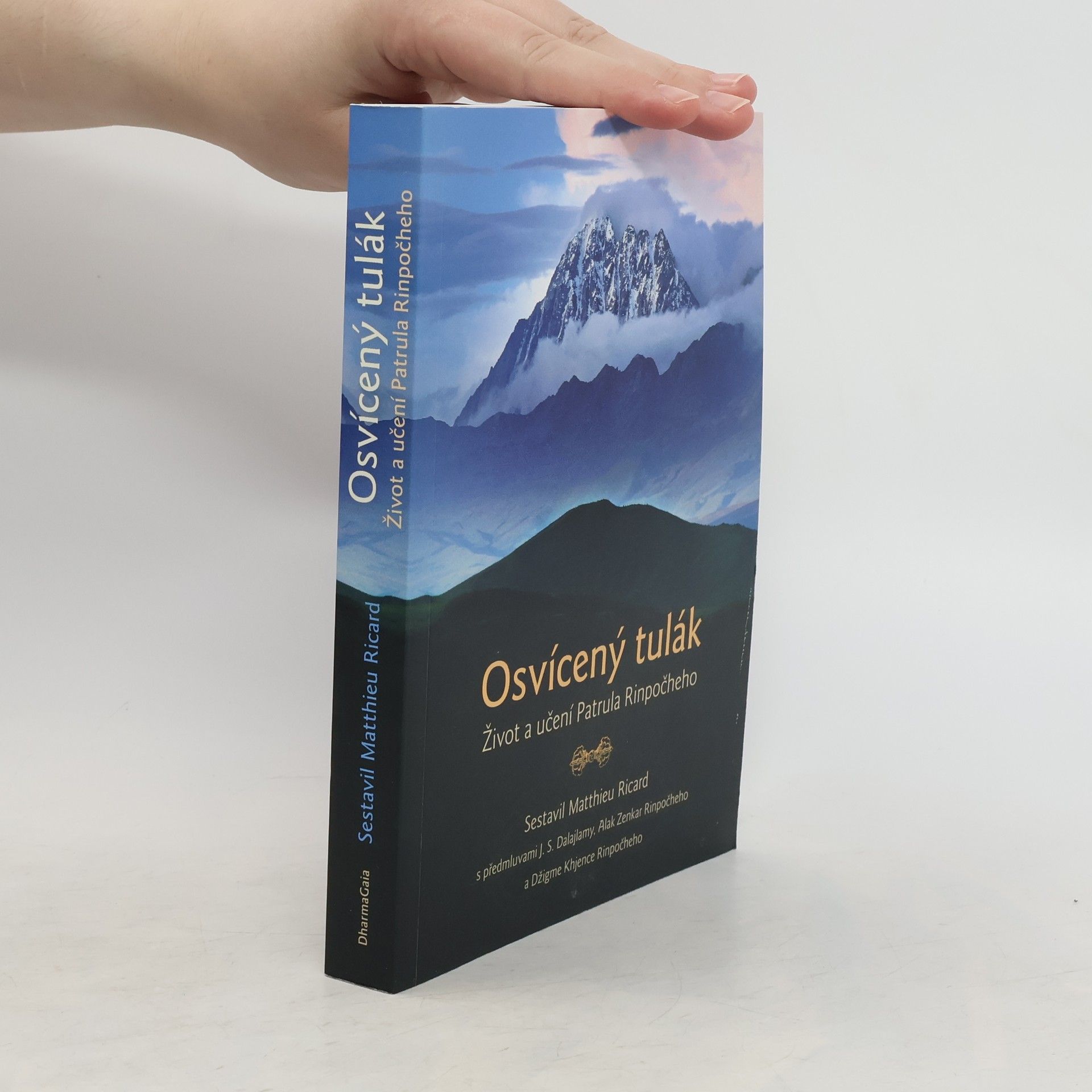 Matthieu Ricard Osvícený tulák: Život a učení Patrula Rinpočheho