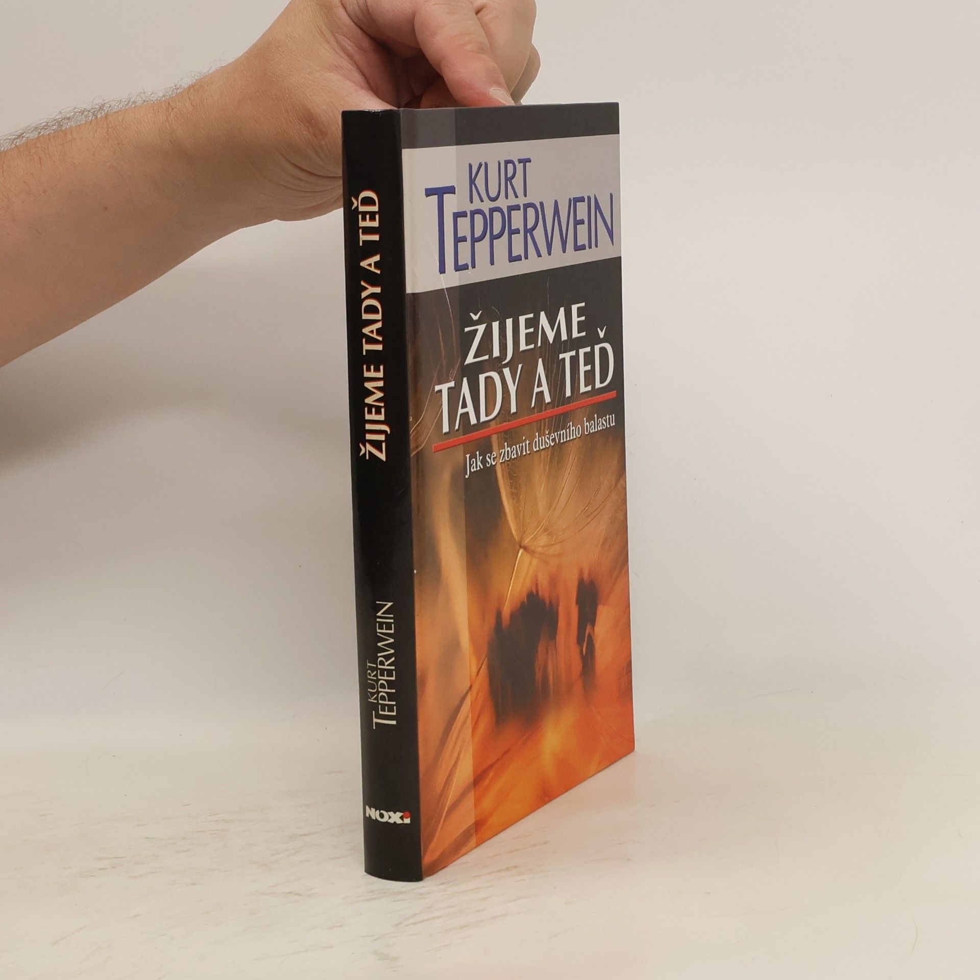 Kurt Tepperwein Žijeme tady a teď : jak se zbavit duševního balastu