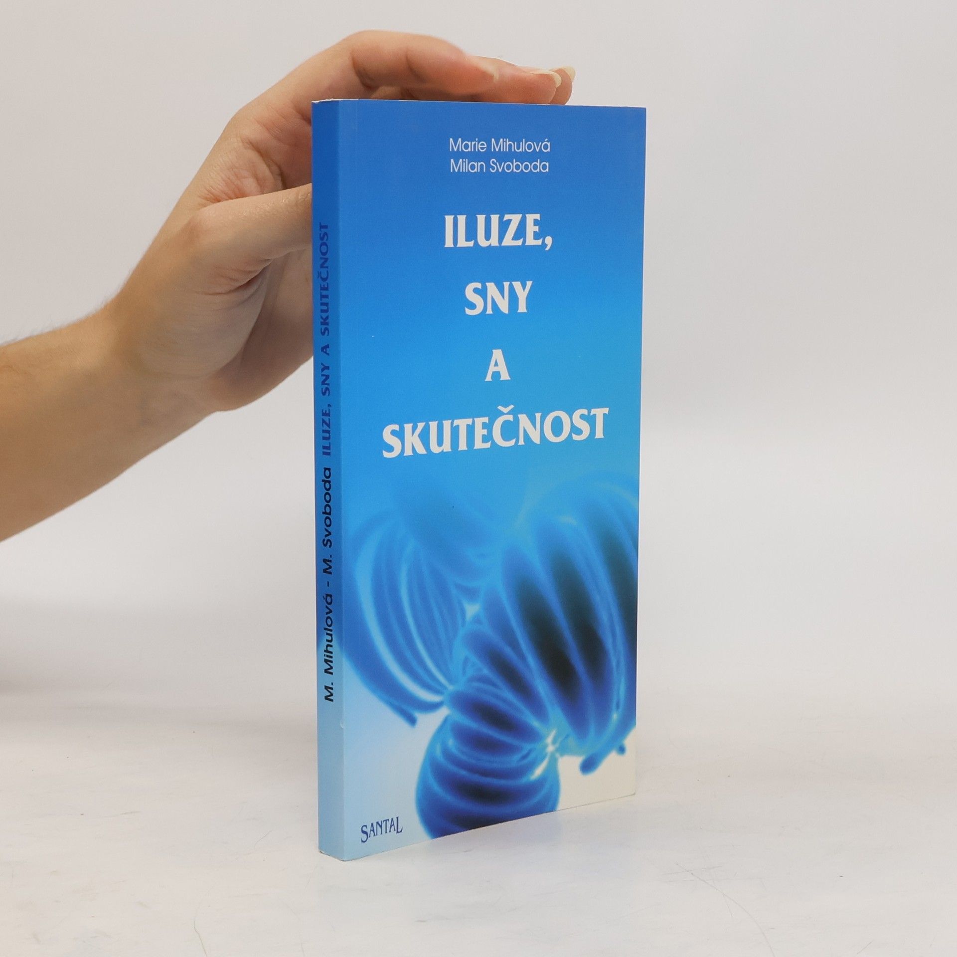 Marie Mihulová Iluze, sny a skutečnost