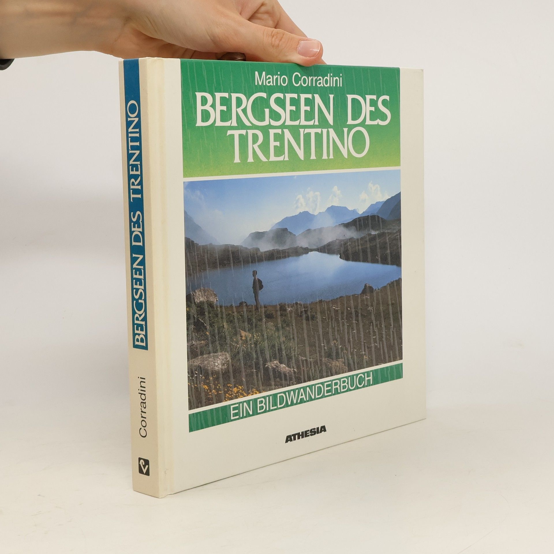 Mario Corradini Bergseen des Trentino