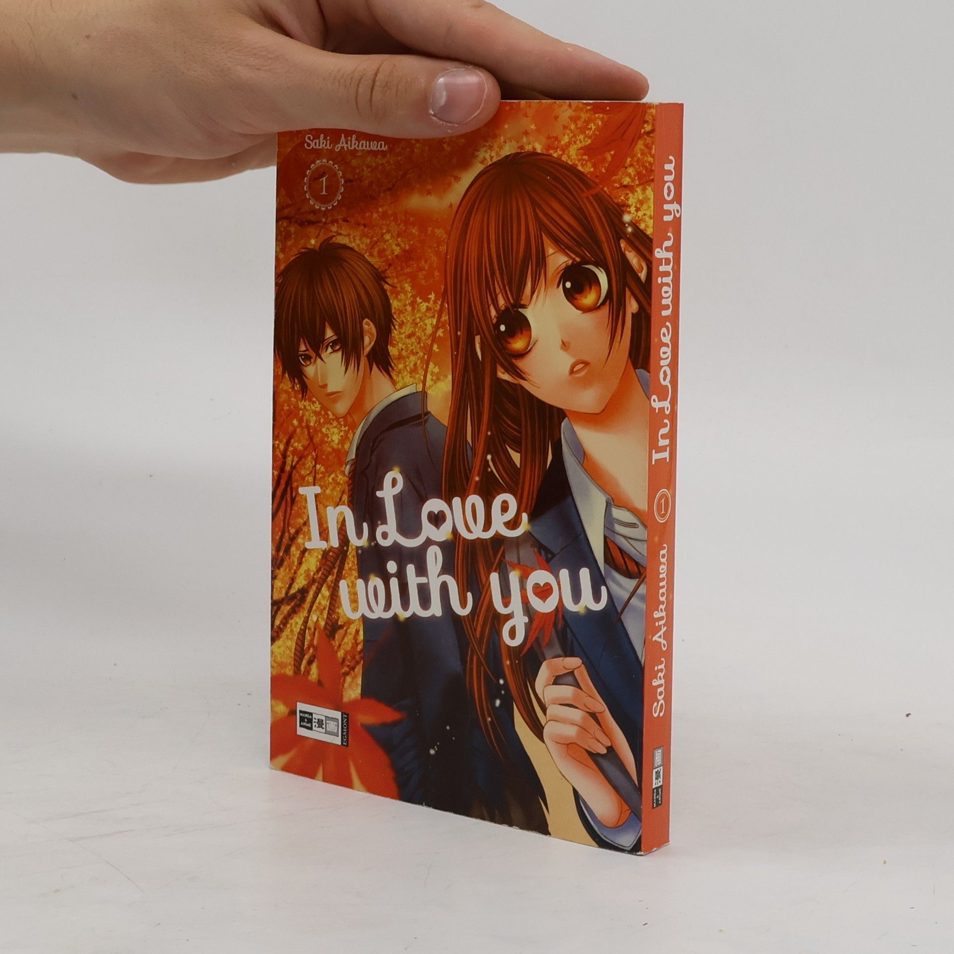 Saki Aikawa In love with you 1