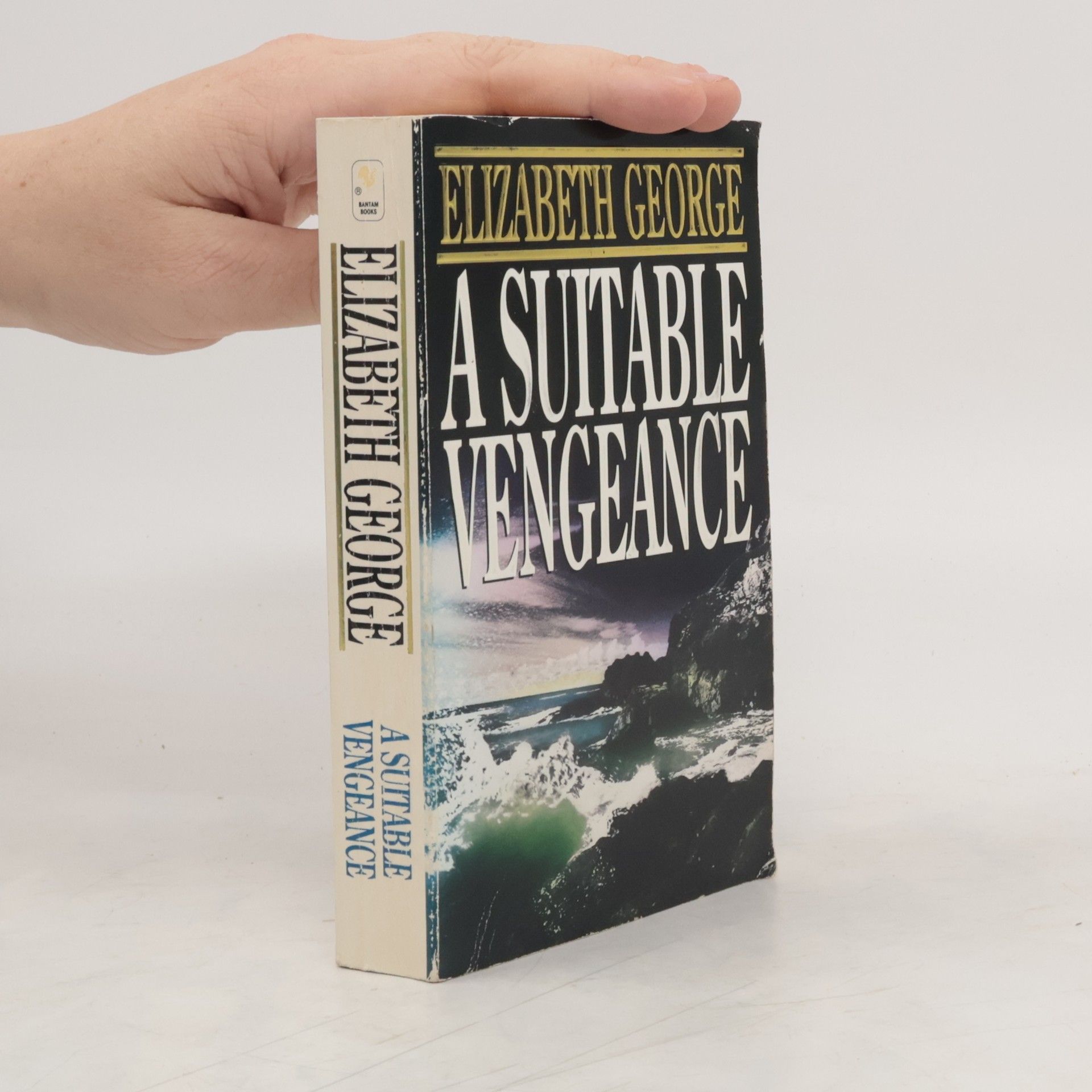 Elizabeth George A suitable vengeance