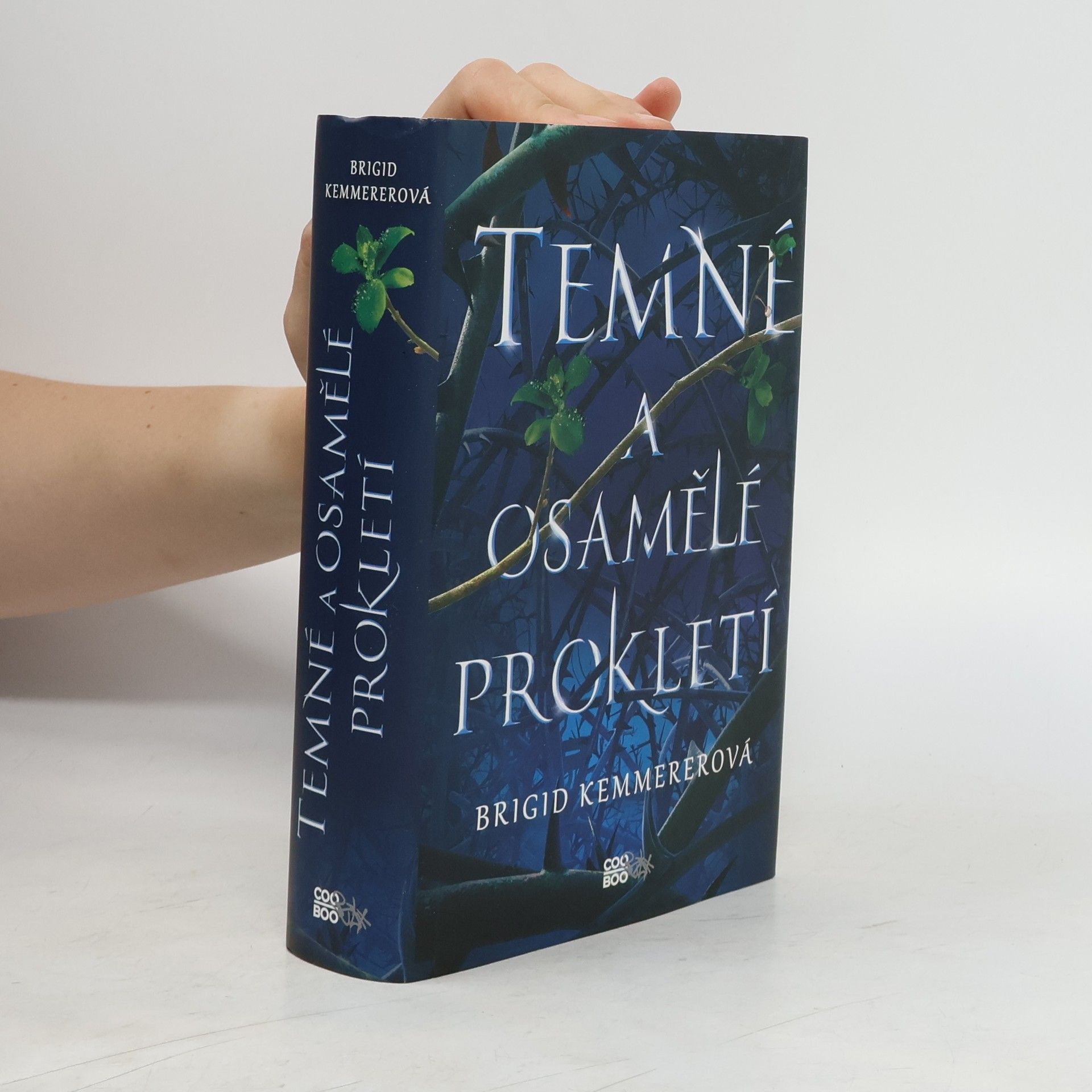 Brigid Kemmererová Temné a osamělé prokletí
