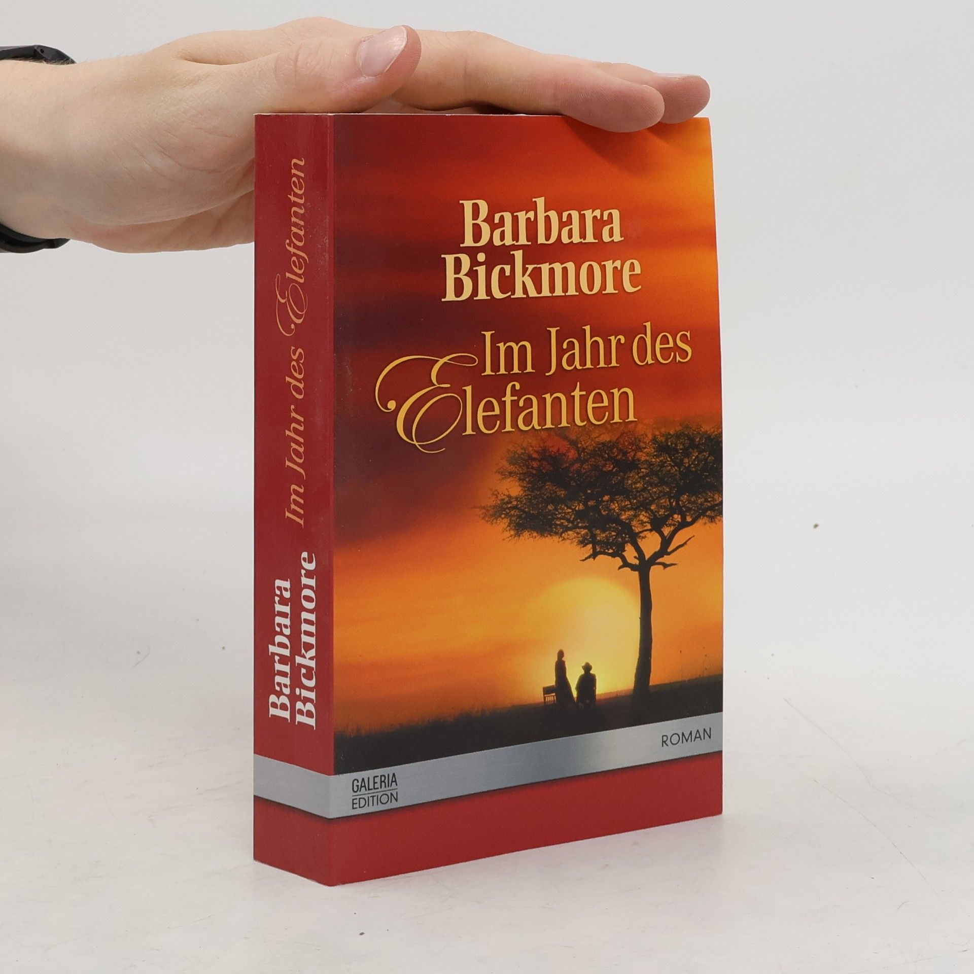 Barbara Brickmore Im Jahr des Elefanten