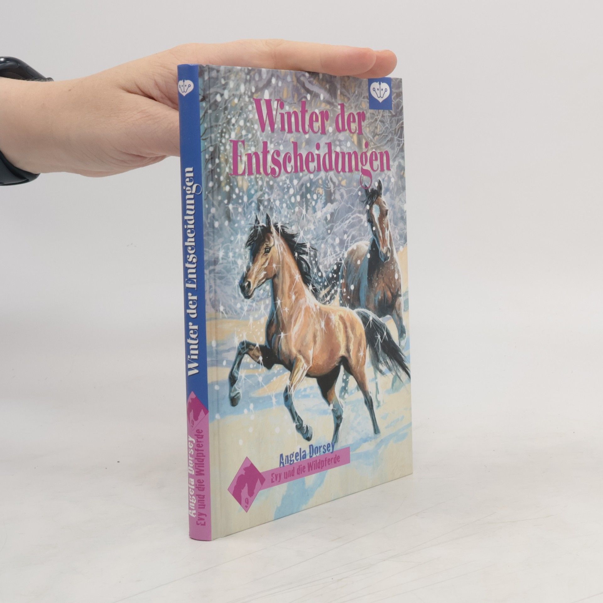 Angela Dorsey Winter der Entscheidung