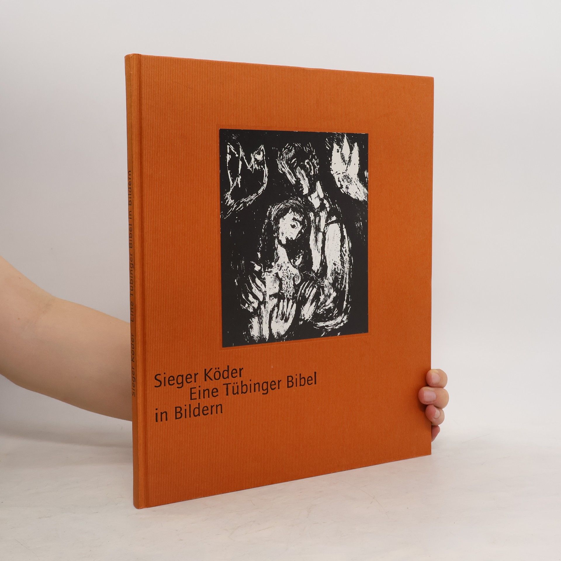 Sieger Köder Eine Tübinger Bibel in Bildern