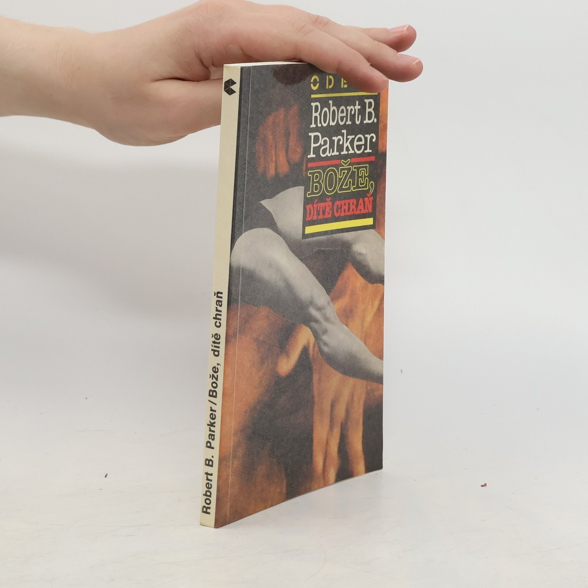 Robert B. Parker Bože, dítě chraň