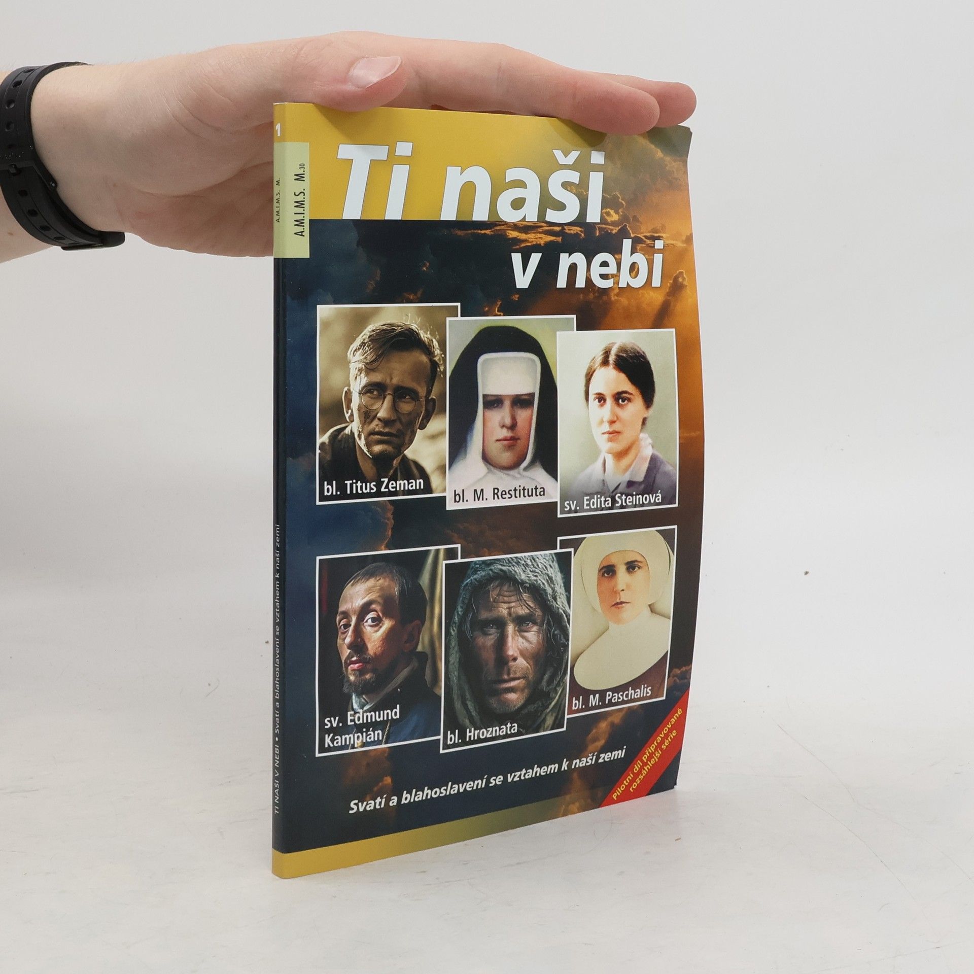 kolektiv Ti naši v nebi
