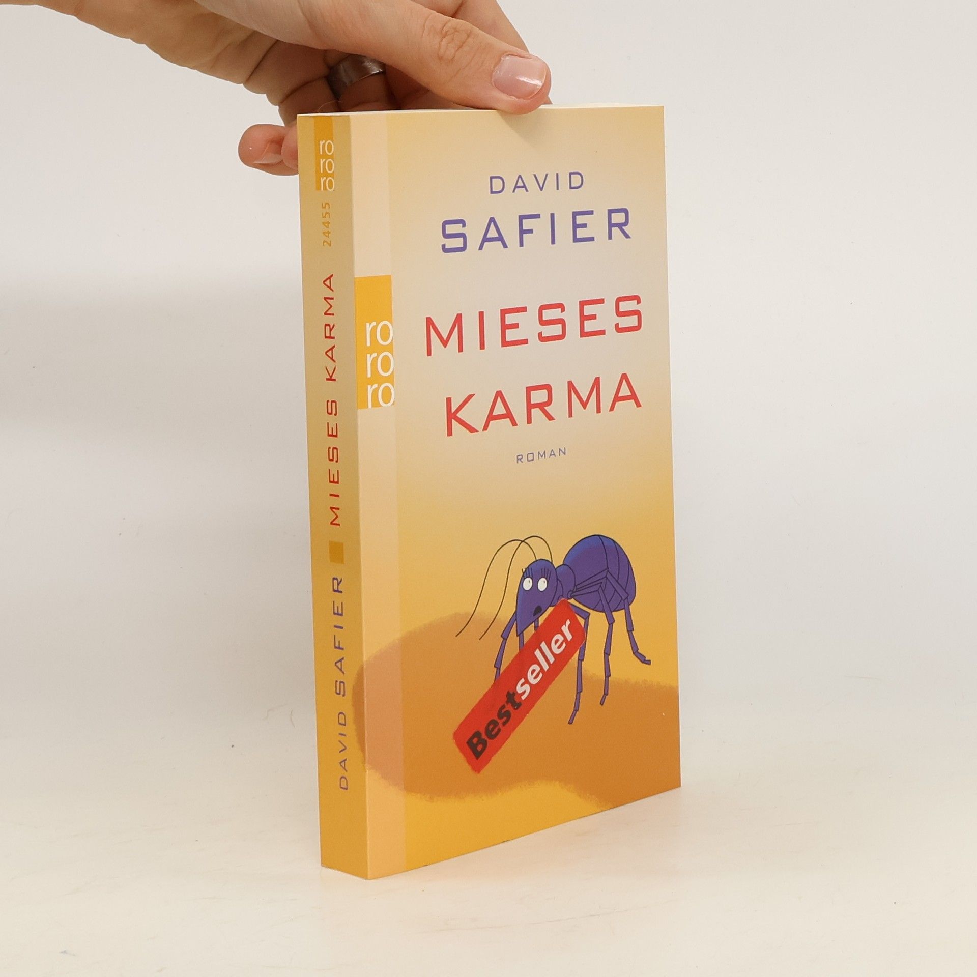 David Safier Mieses Karma