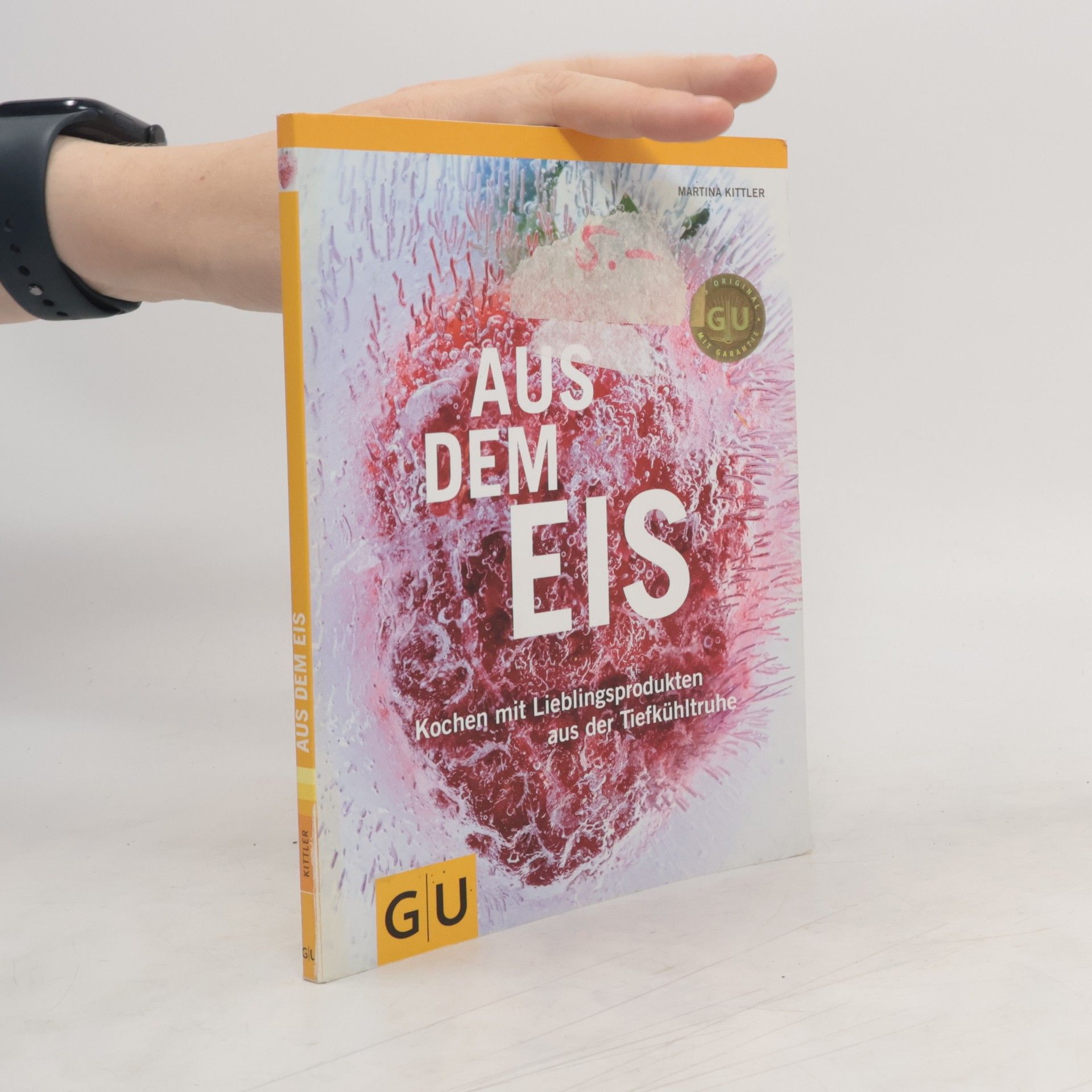 Marion Grillparzer Aus dem Eis