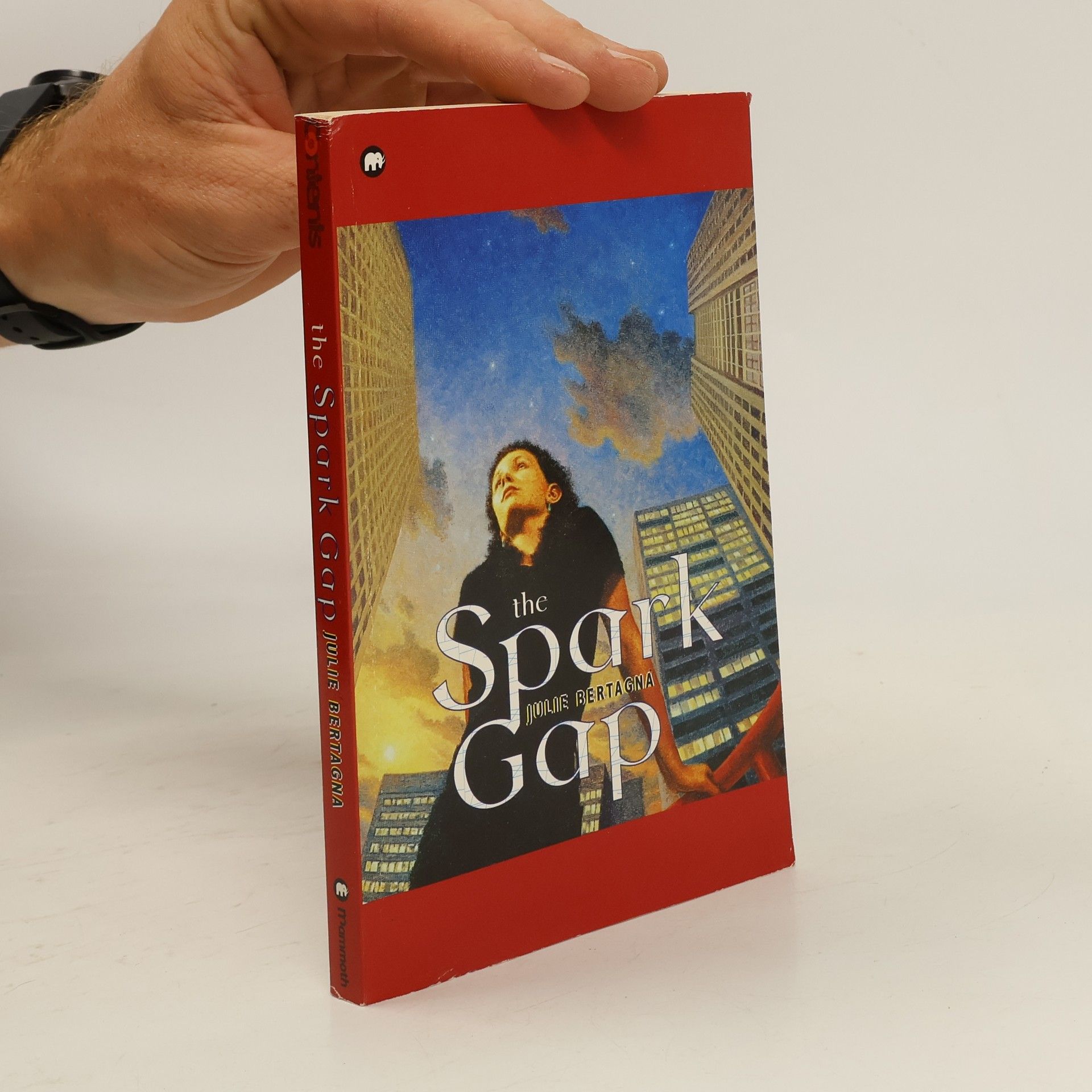Julie Bertagna The Spark Gap