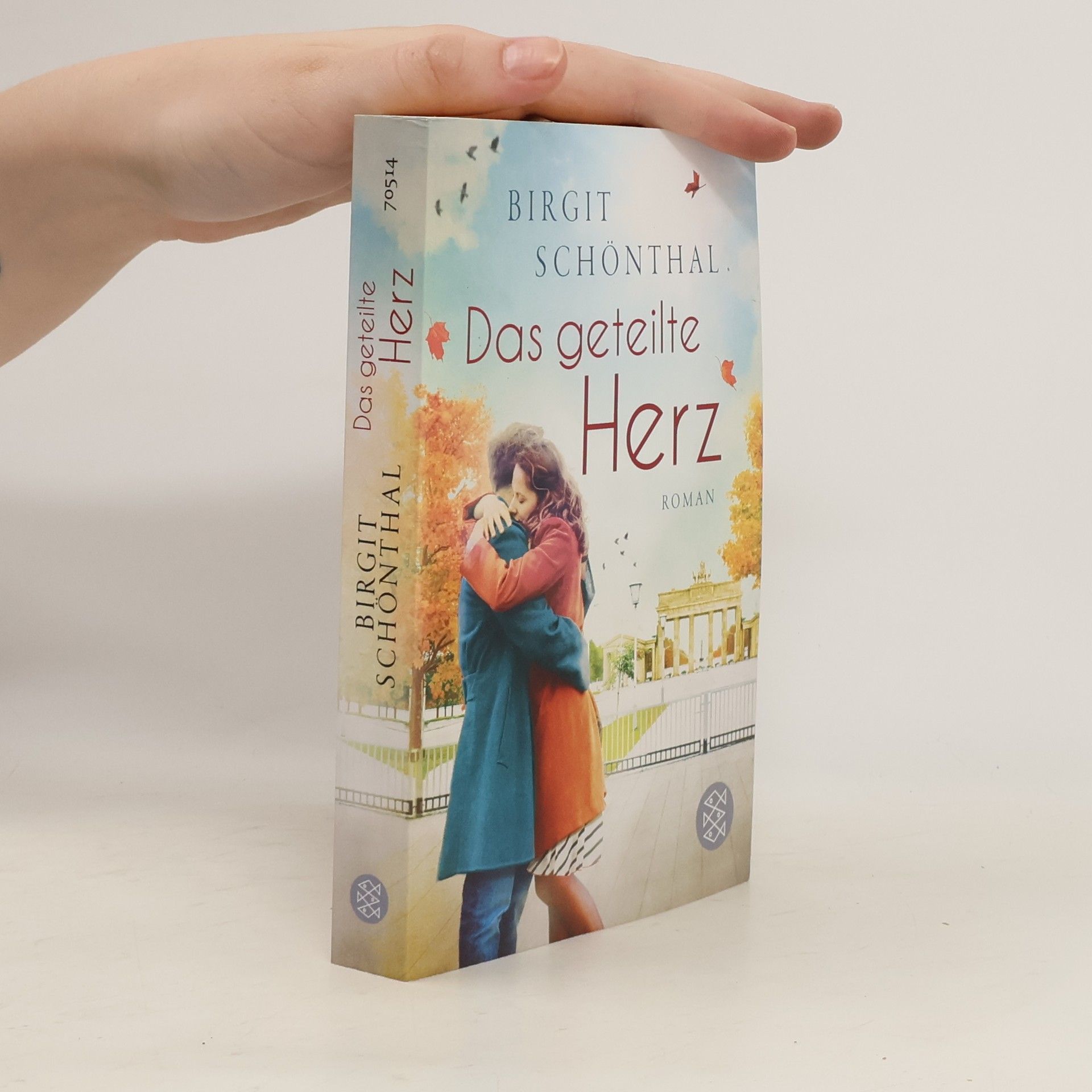 Birgit Schönthal Das geteilte Herz