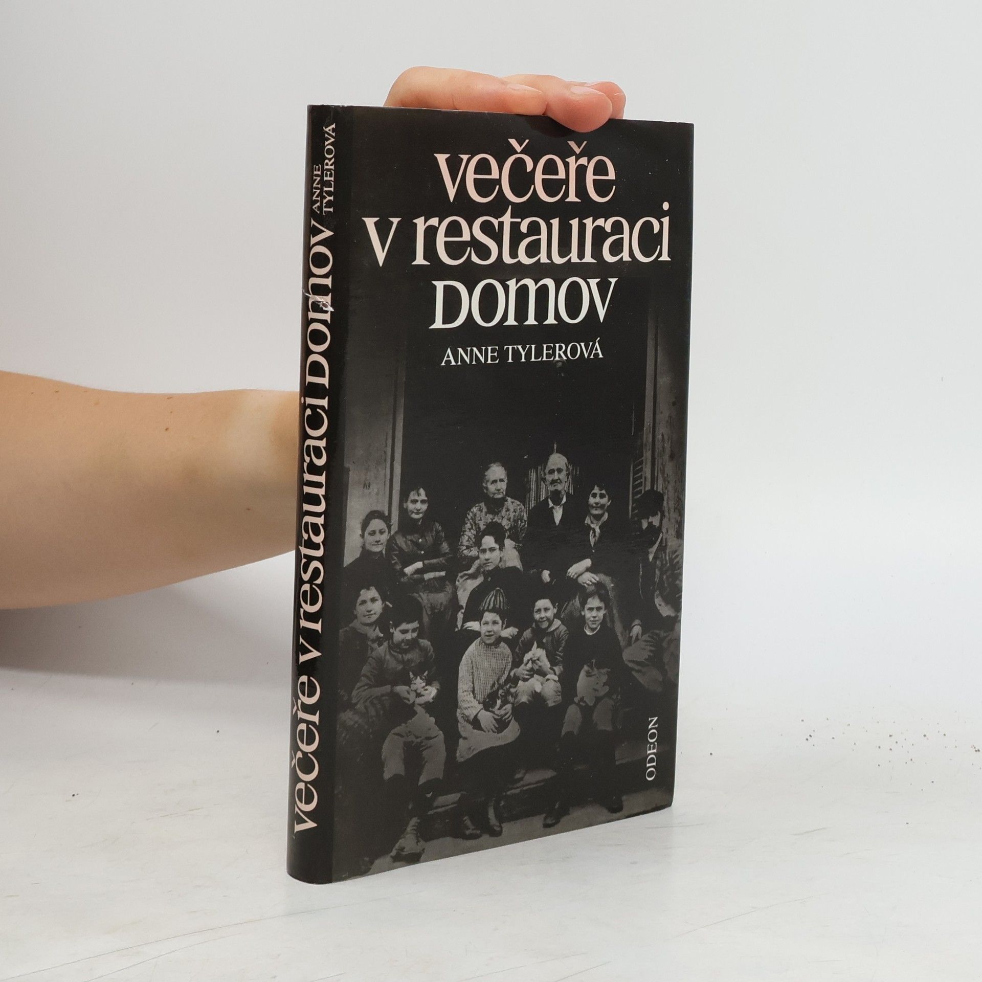 Anne Tyler Večeře v restauraci Domov