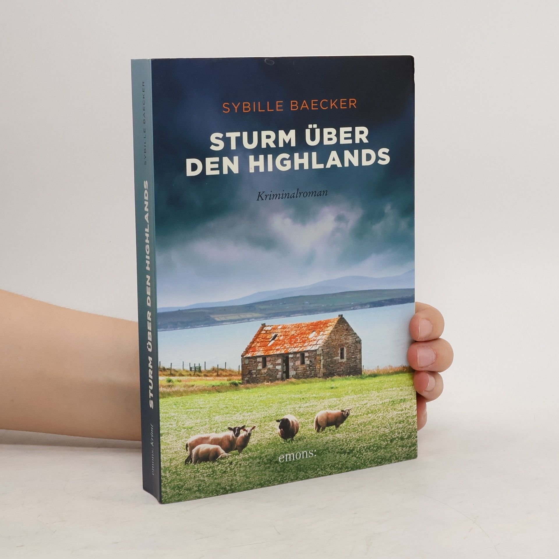Sybille Baecker Sturm über den Highlands