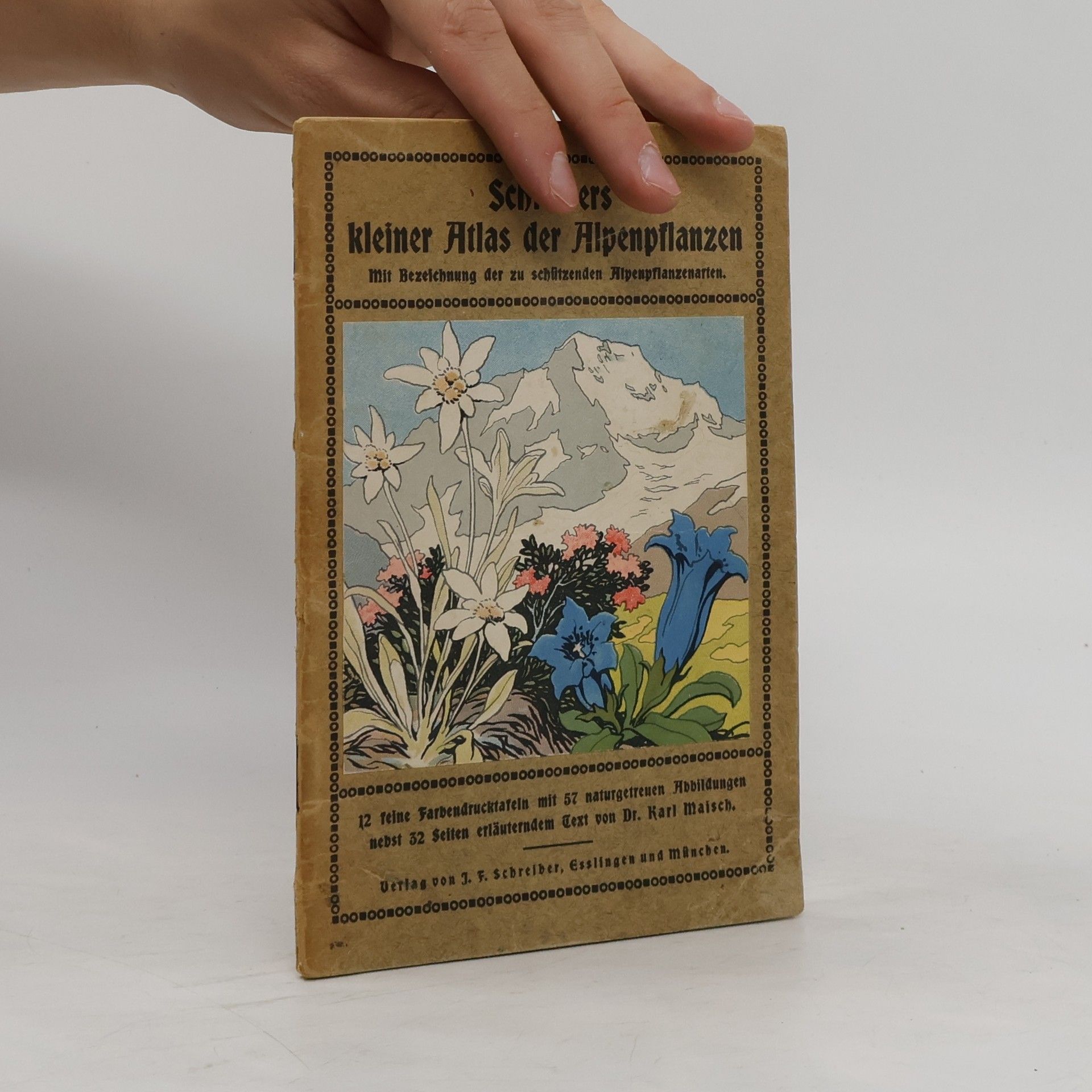 Karl Maisch Schreibers kleiner Atlas der Alpenpflanzen