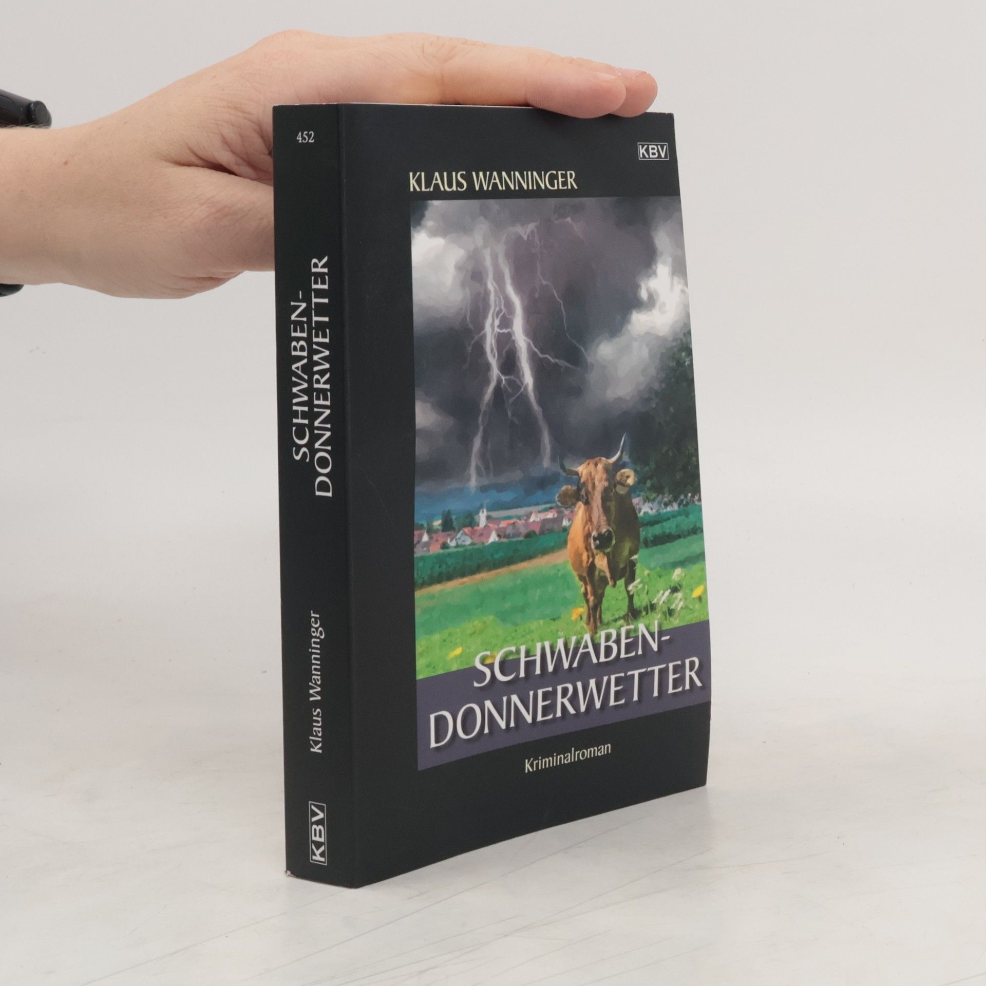 Klaus Wanninger Schwaben-Donnerwetter