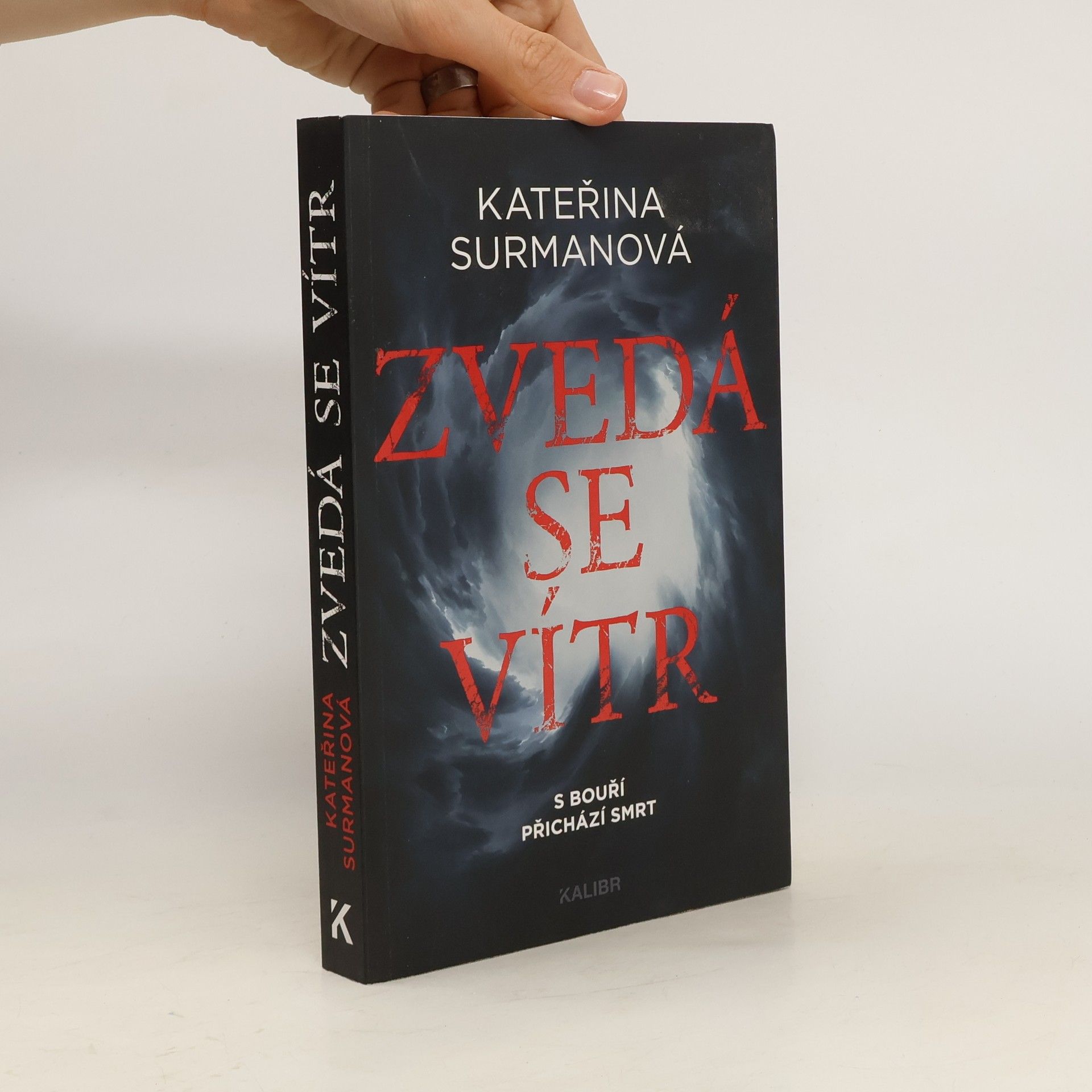 Kateřina Surmanová Zvedá se vítr