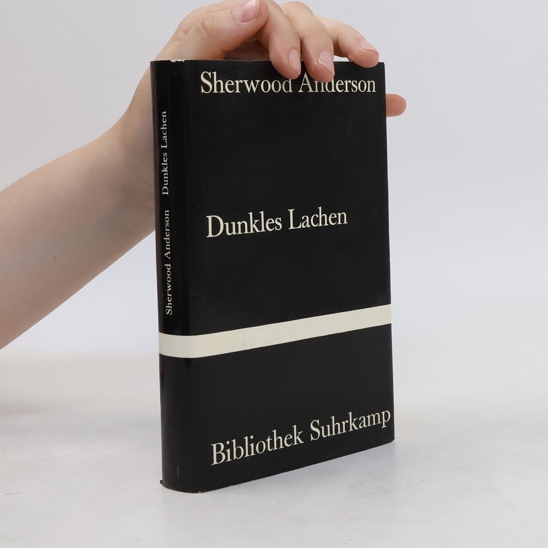Sherwood Anderson Dunkles Lachen