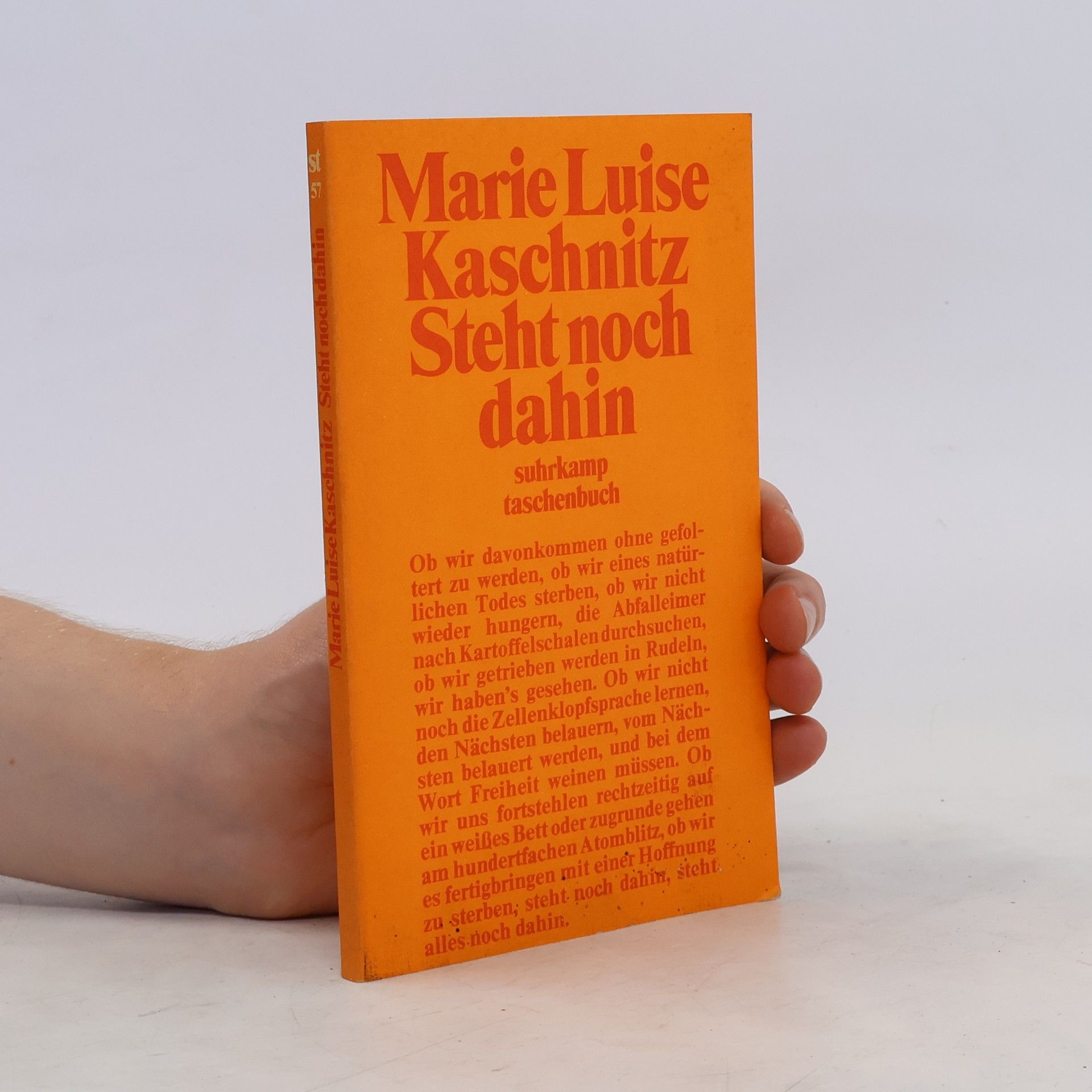 Marie Luise Kaschnitz Steht noch dahin