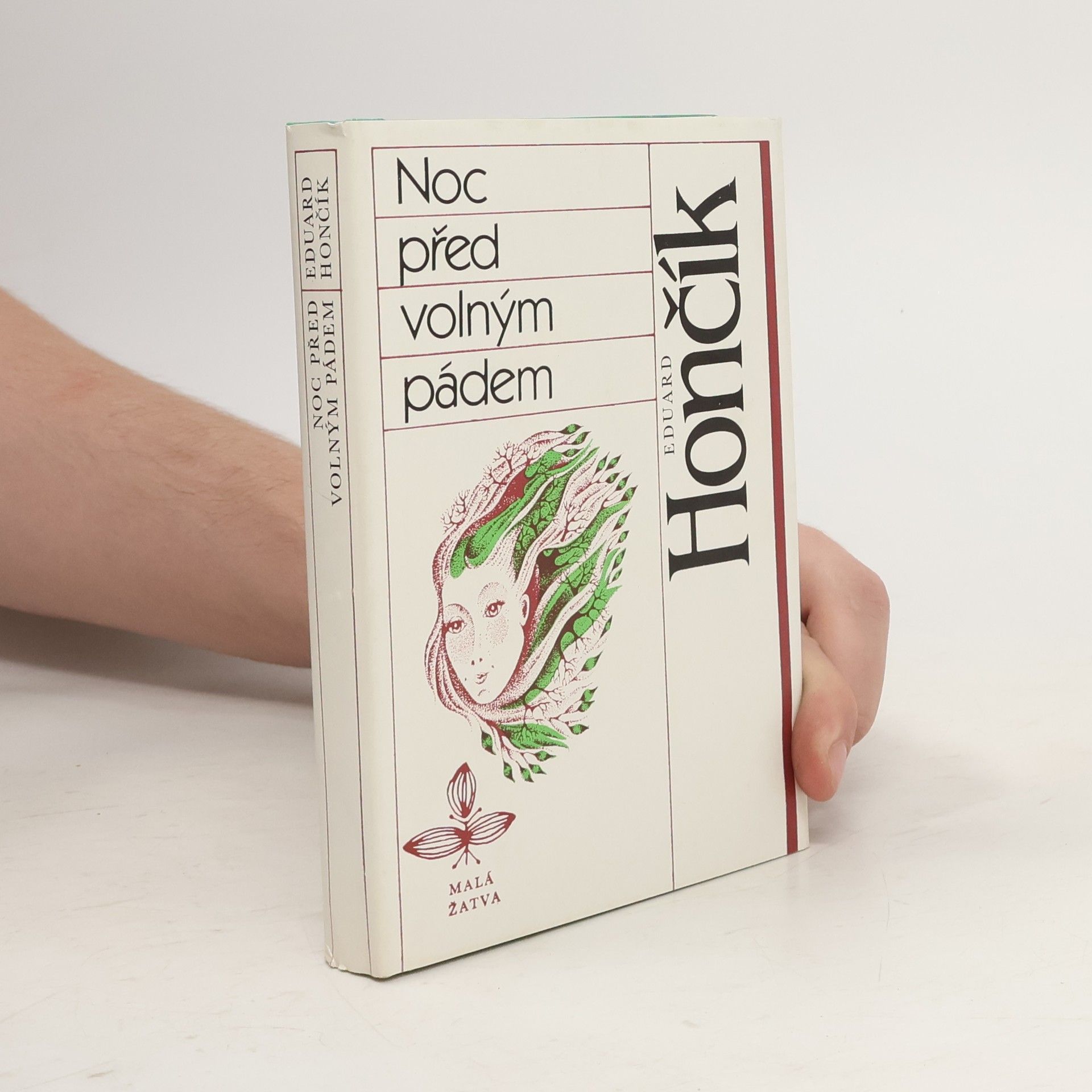 Eduard Hončík Noc před volným pádem