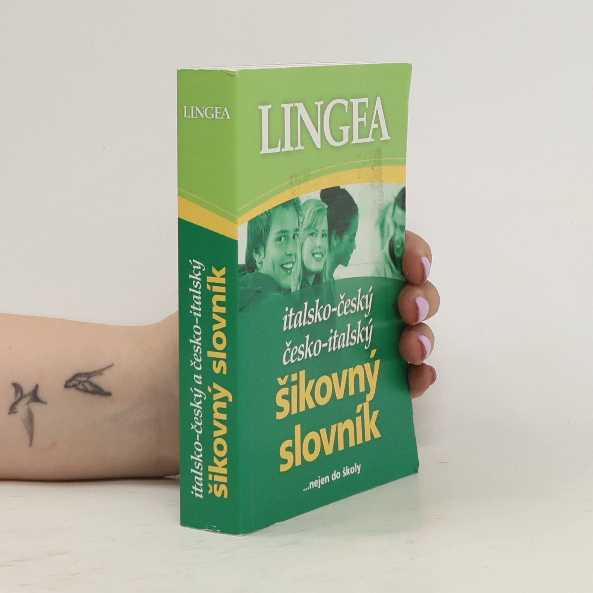 Collectif d'auteurs Italsko-český, česko-italský šikovný slovník