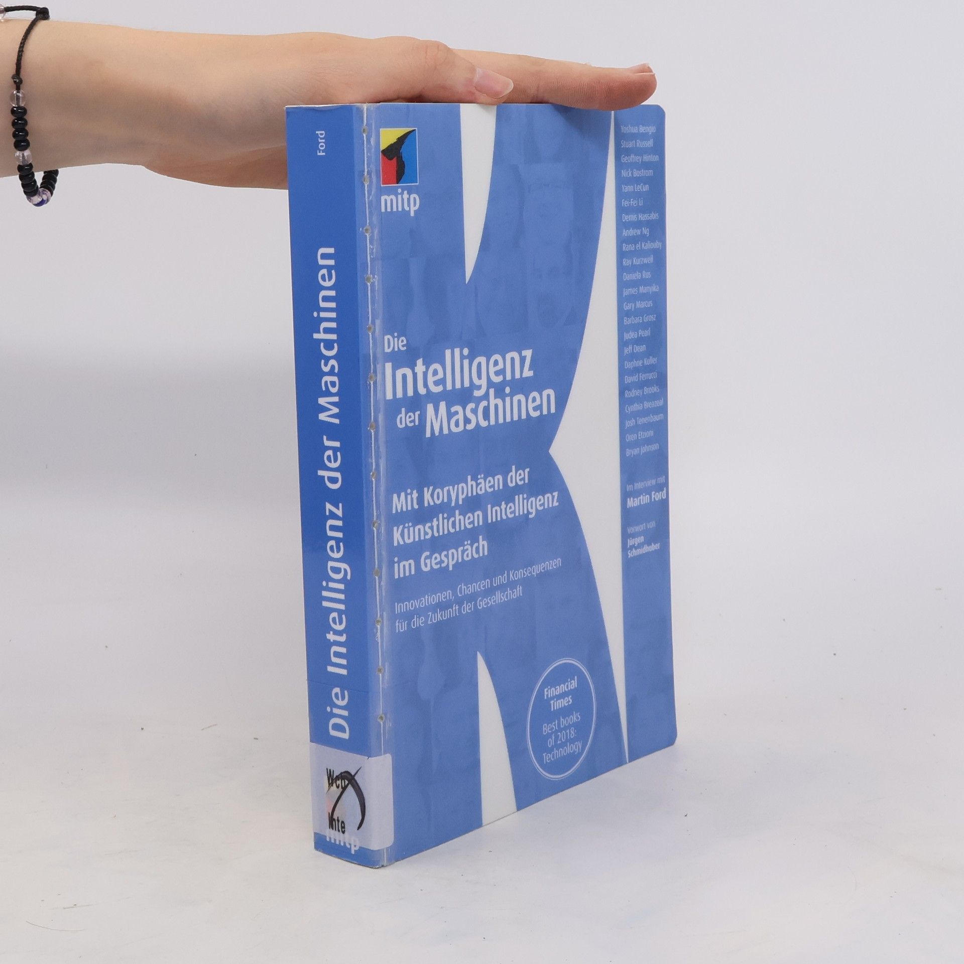 Martin Ford Die Intelligenz der Maschinen