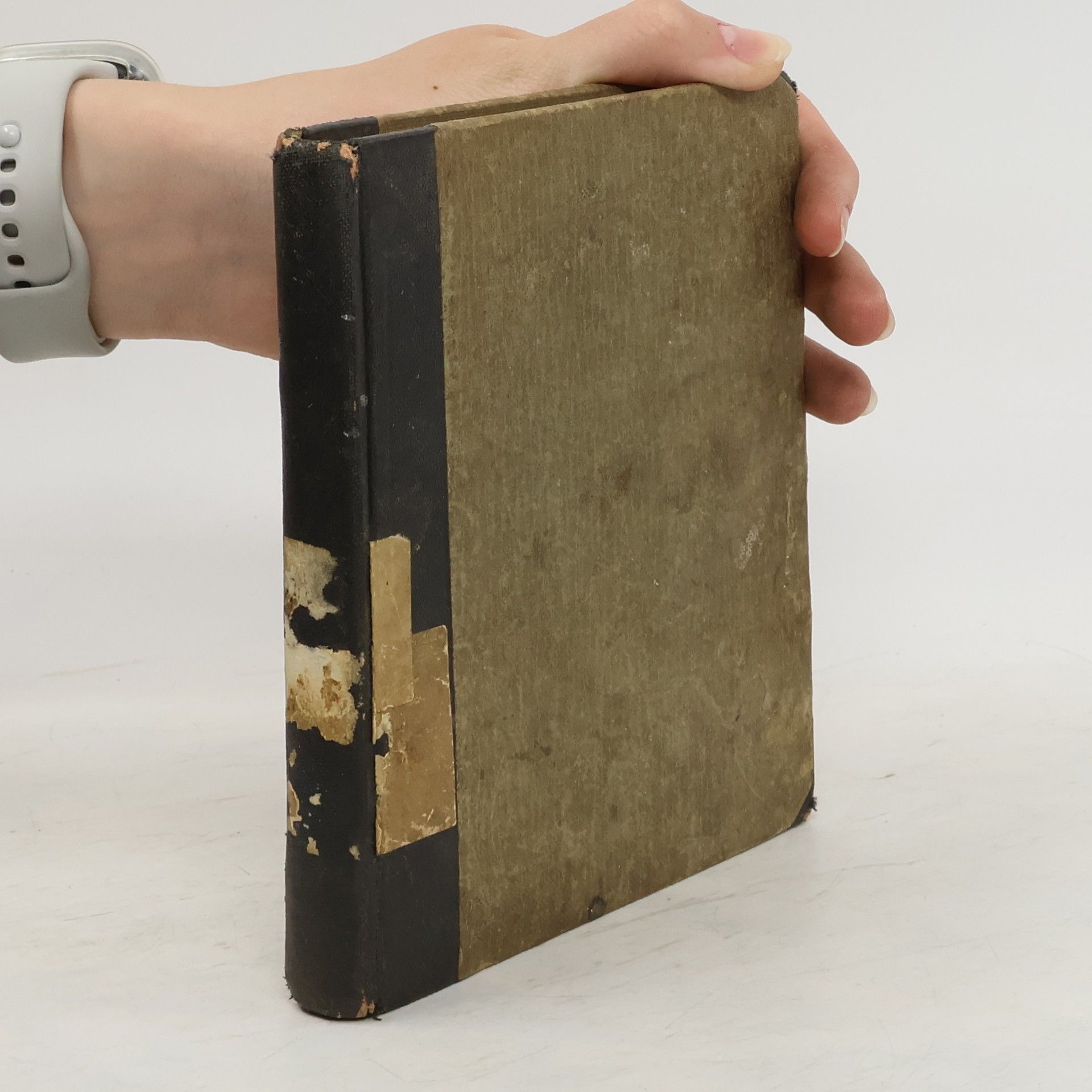 Margaret Stackpoole Zapověděné ovoce