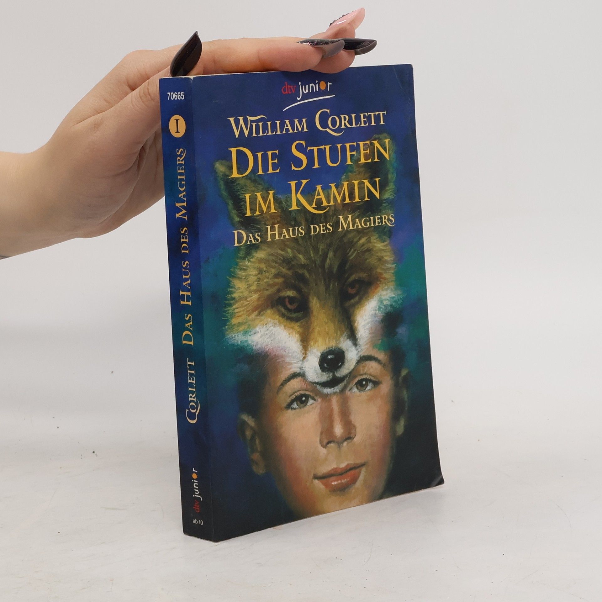 William Corlett Die Stufen im Kamin. Das Haus des Magiers 01