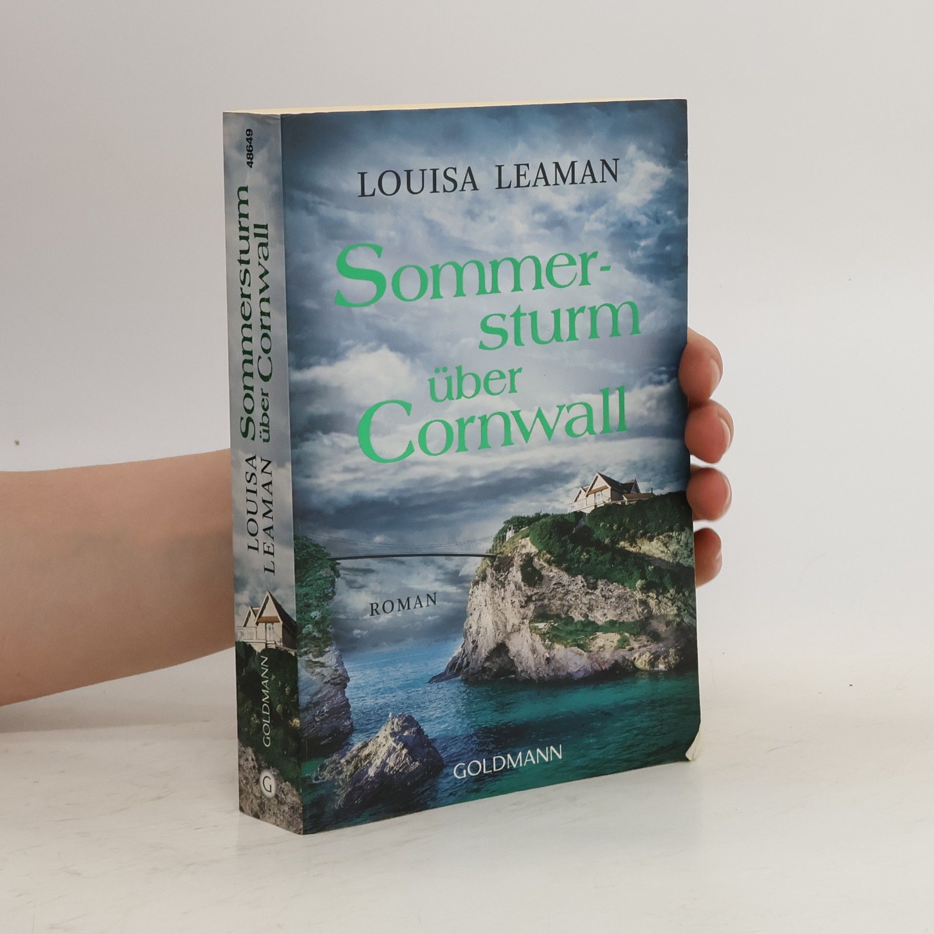 Louisa Leaman Sommersturm über Cornwall