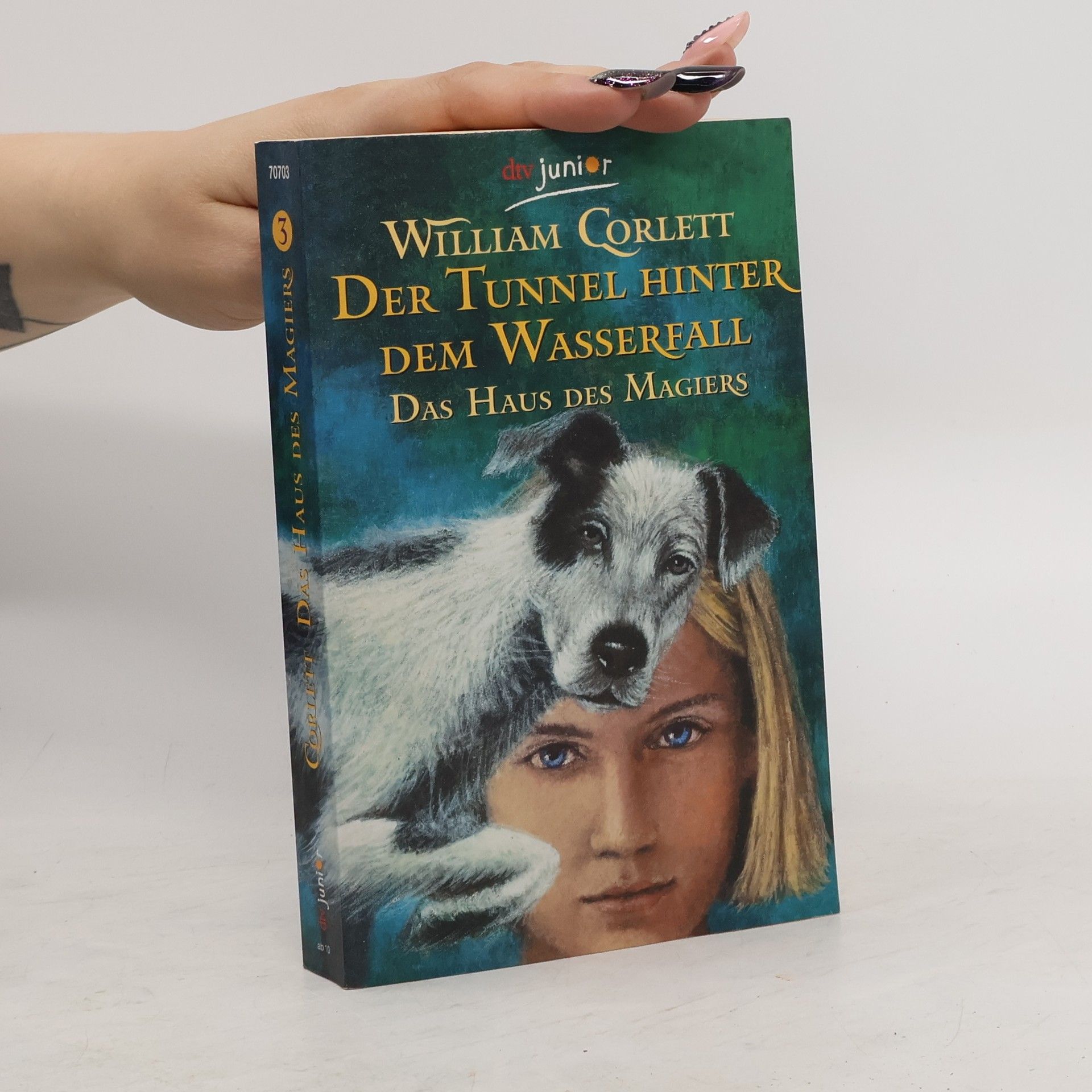 William Corlett Der Tunnel hinter dem Wasserfall