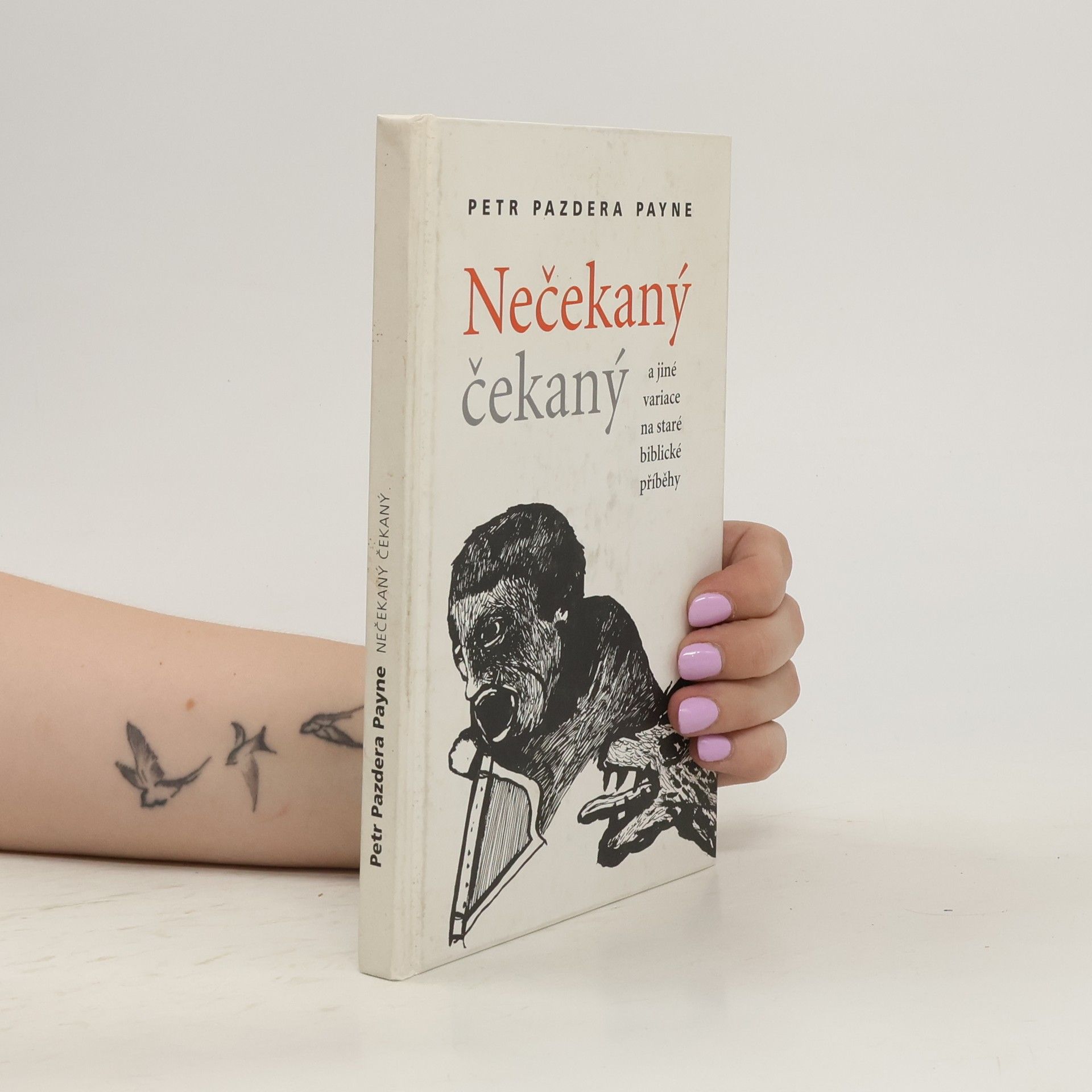 Petr Pazdera Payne Nečekaný čekaný a jiné variace na staré biblické příběhy