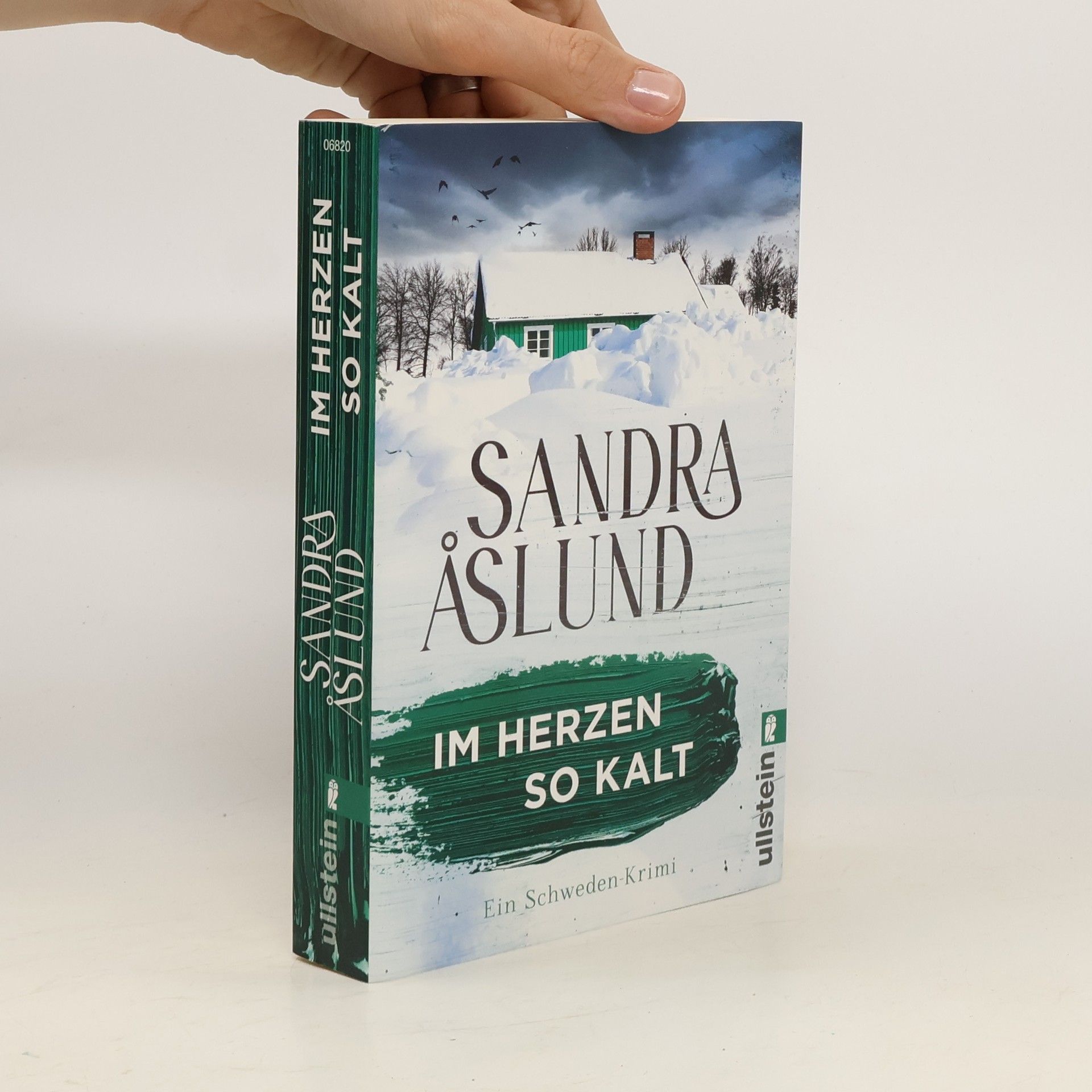 Sandra Åslund Im Herzen so kalt (Ein Fall für Maya Topelius 1)
