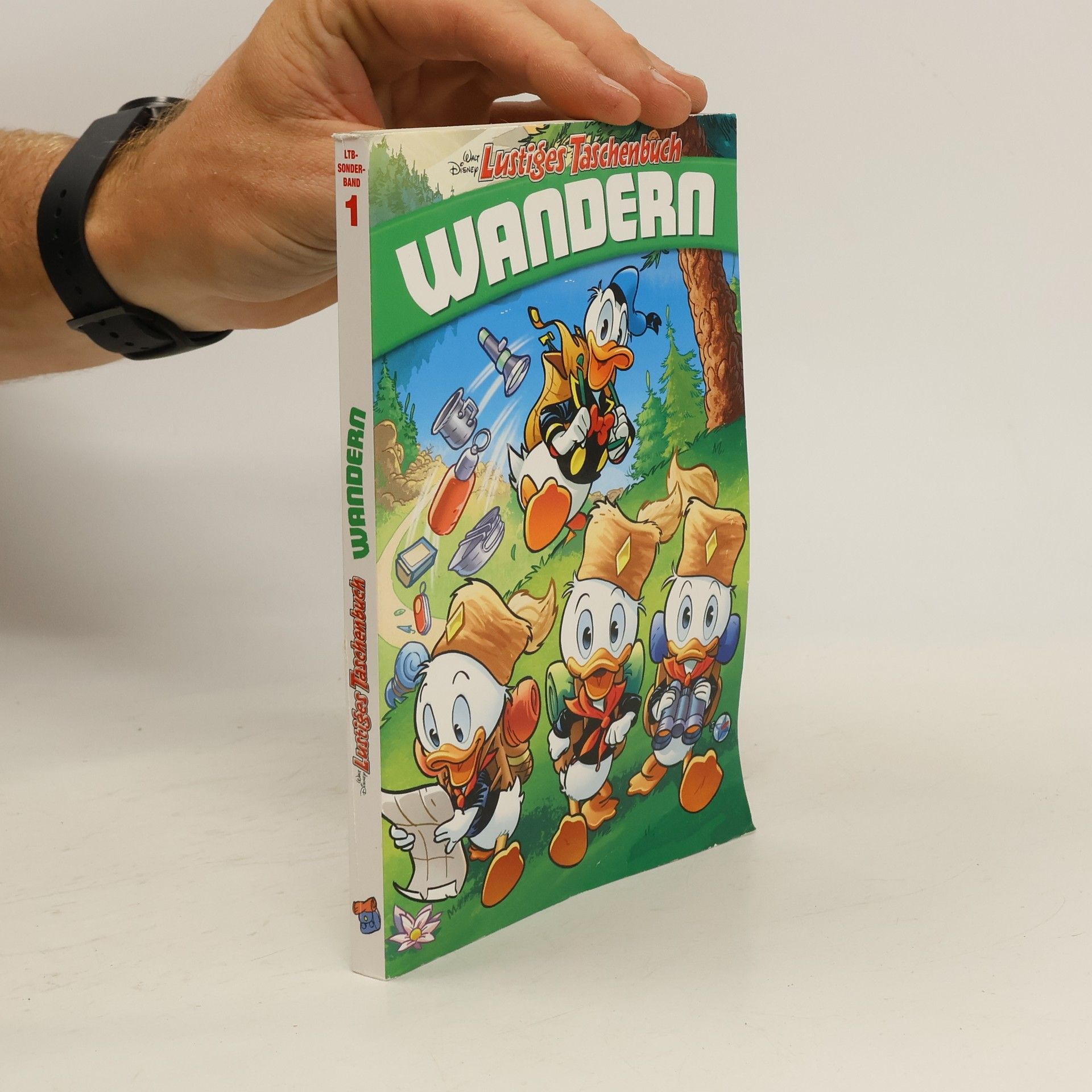 Walt Disney Lustiges Taschenbuch: Wandern