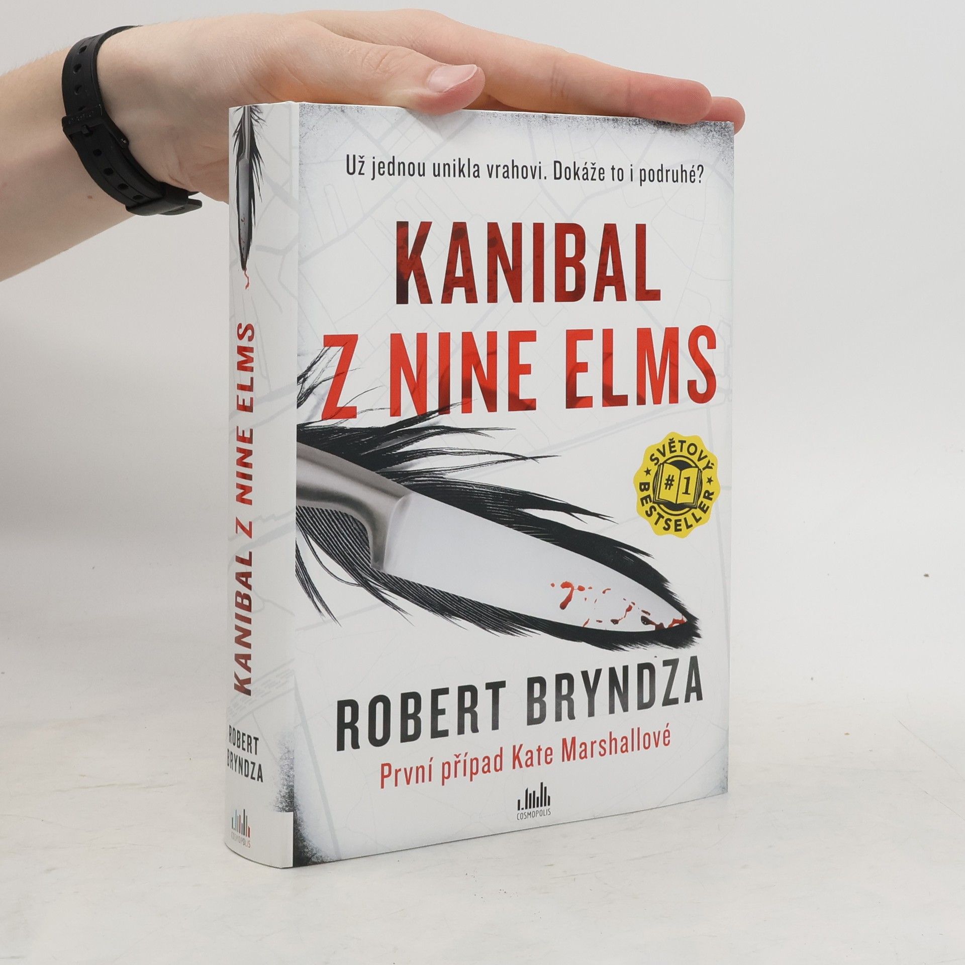 Robert Bryndza Kanibal z Nine Elms