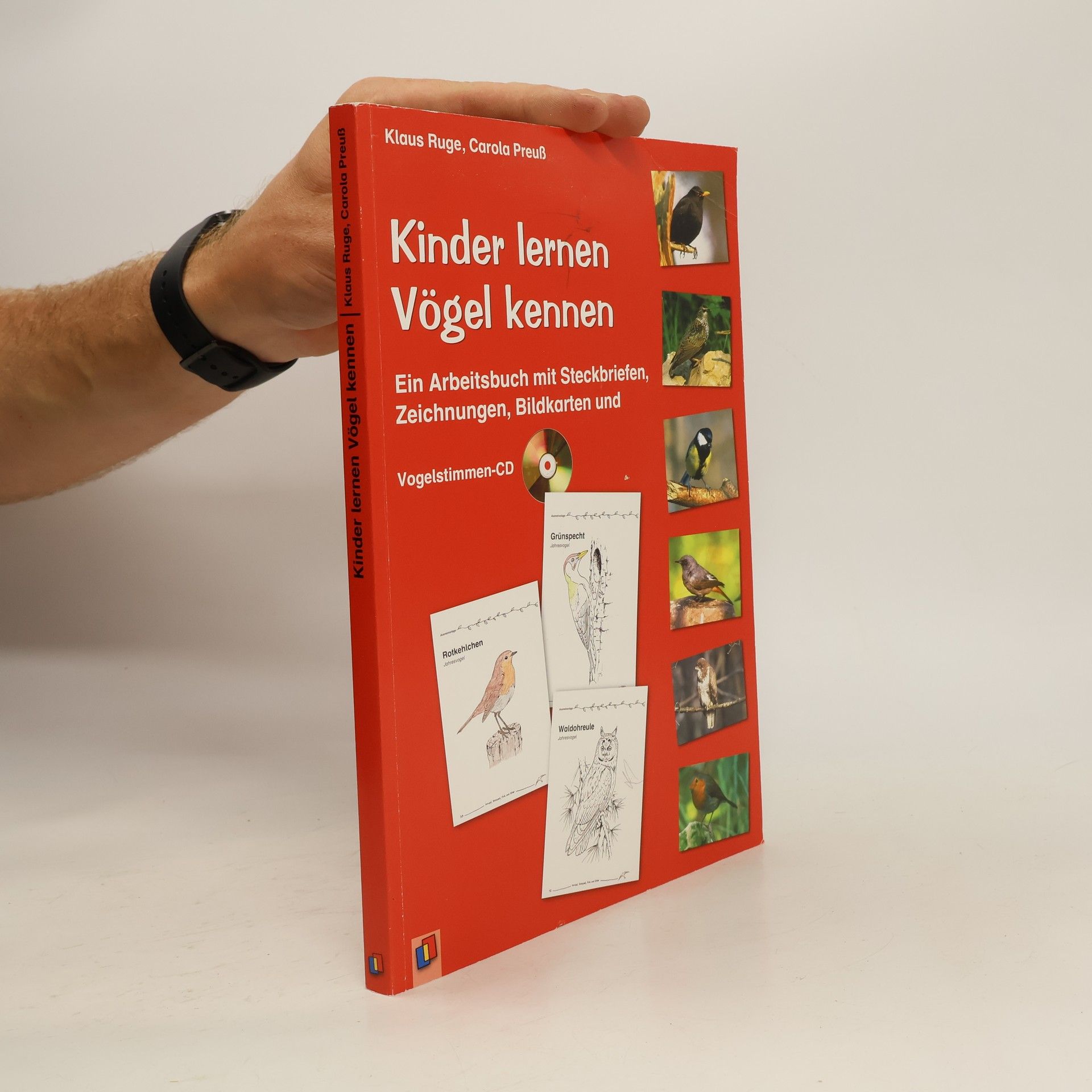 kolektiv Kinder lernen Vögel kennen