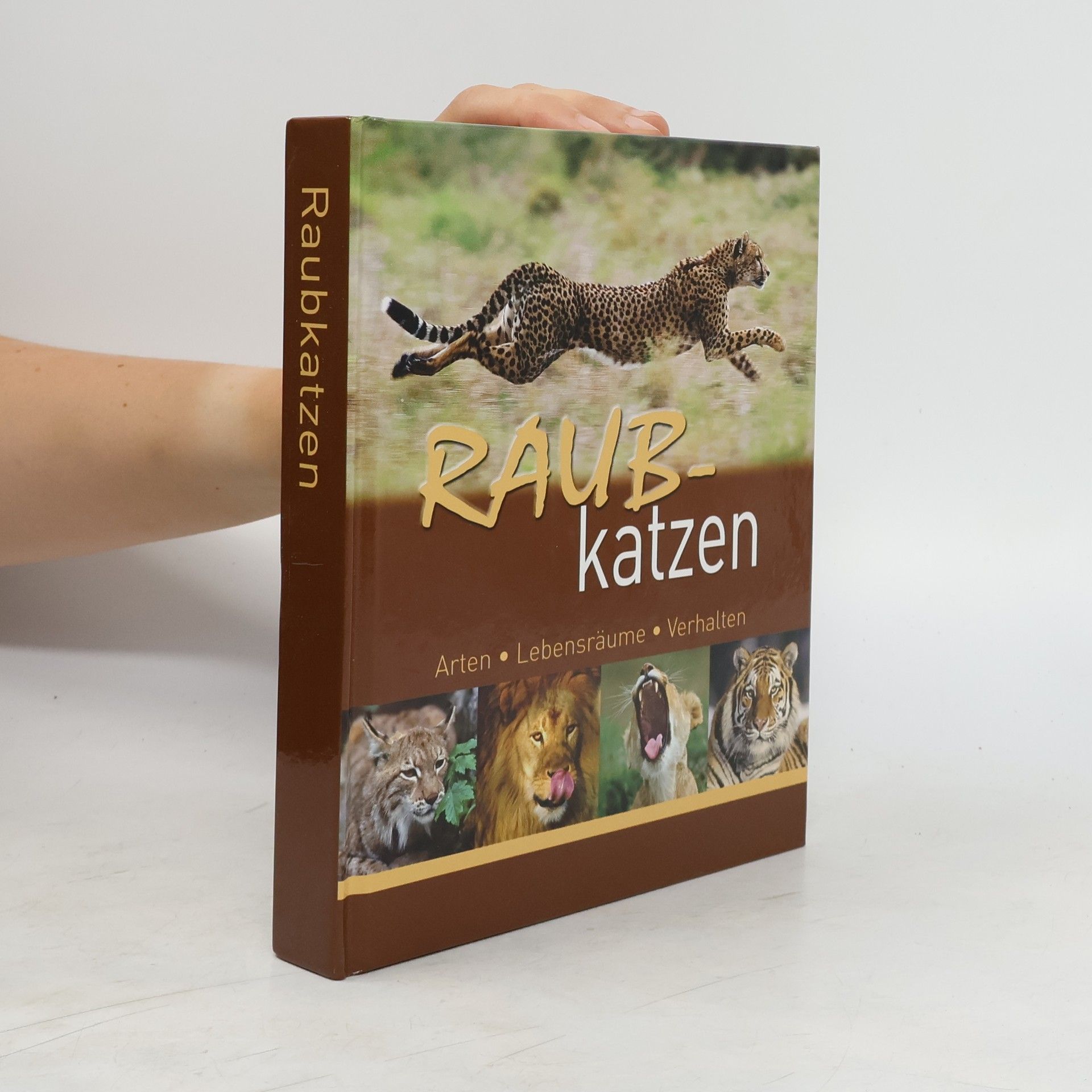 Hans W. Kothe Raub-katzen