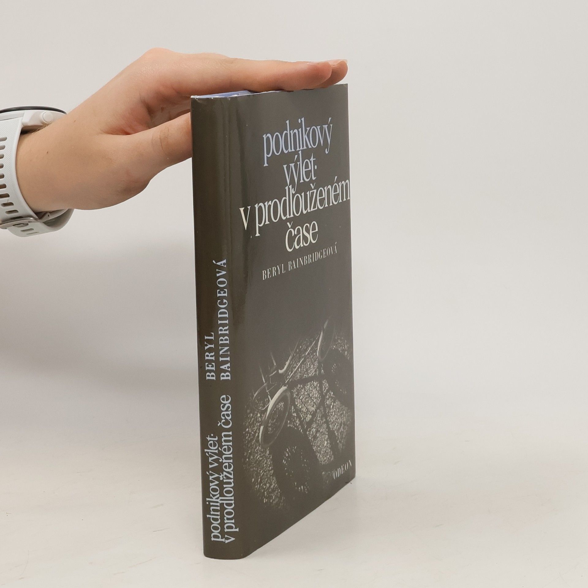 Beryl Bainbridge Podnikový výlet. V prodlouženém čase