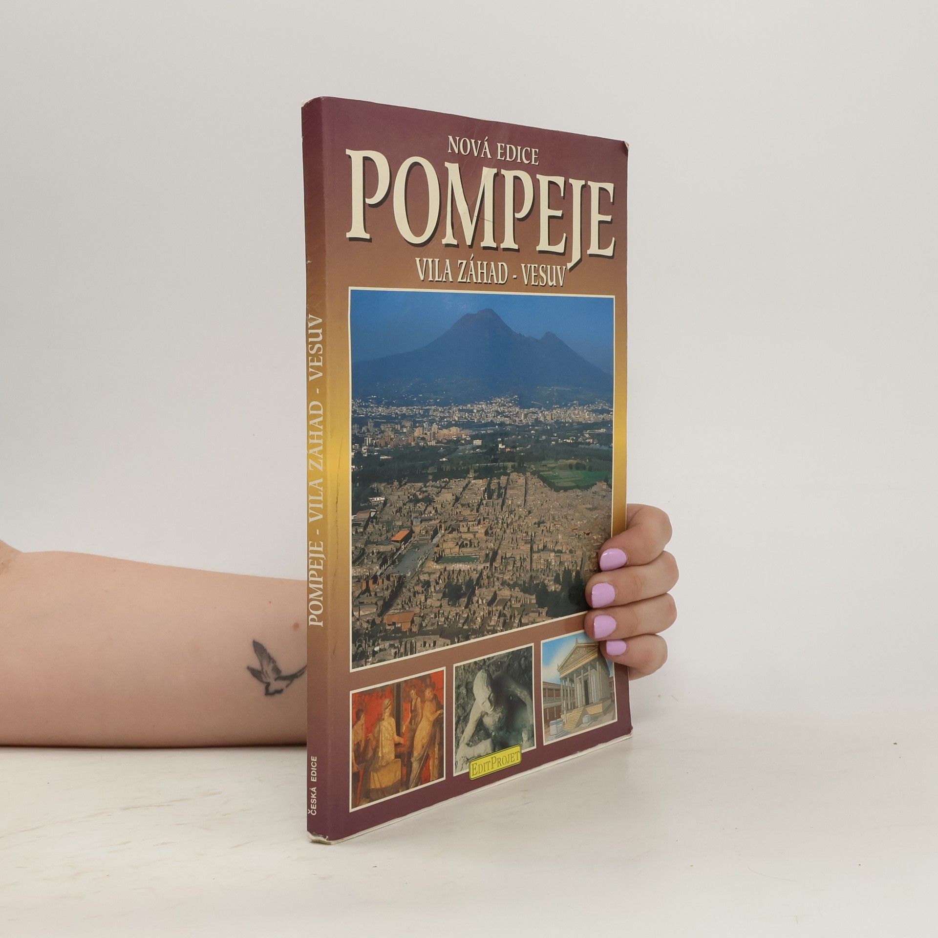 kolektiv Pompeje : vila záhad - Vesuv