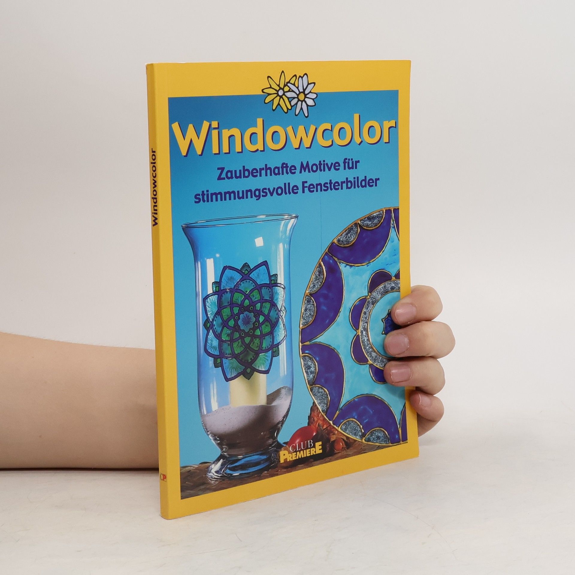 kolektiv Windowcolor