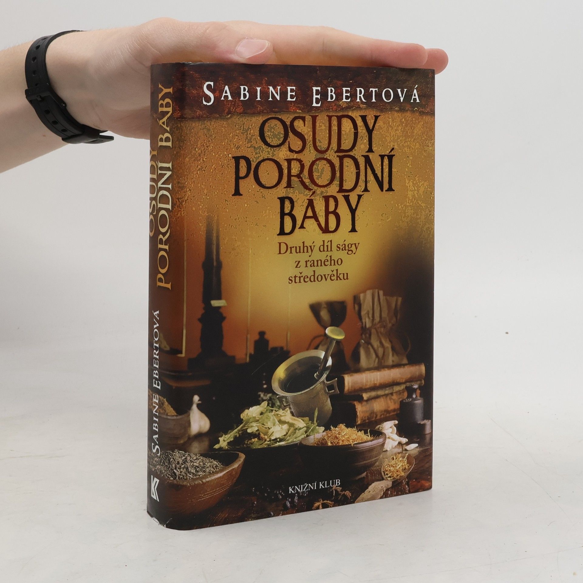 Sabine Ebert Osudy porodní báby