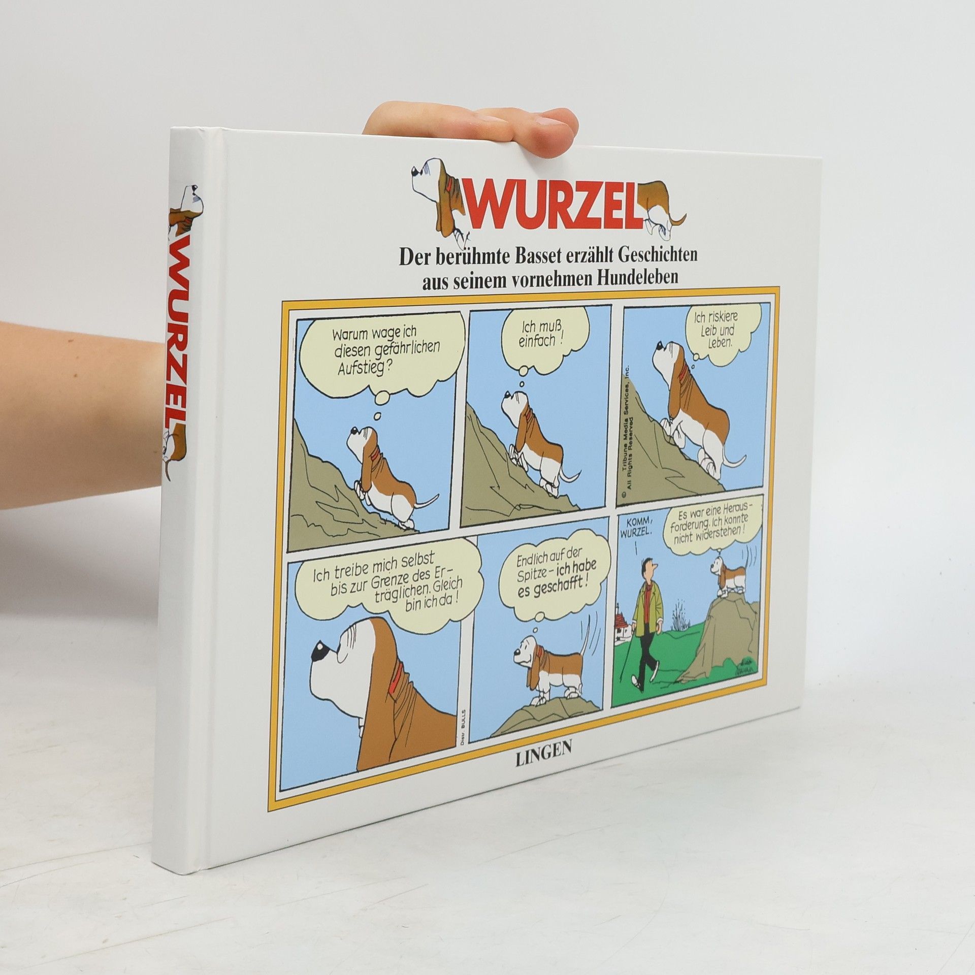 Autores varios Wurzel