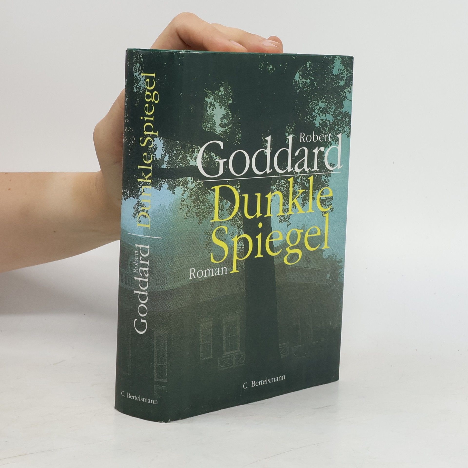 Robert Goddard Dunkle Spiegel