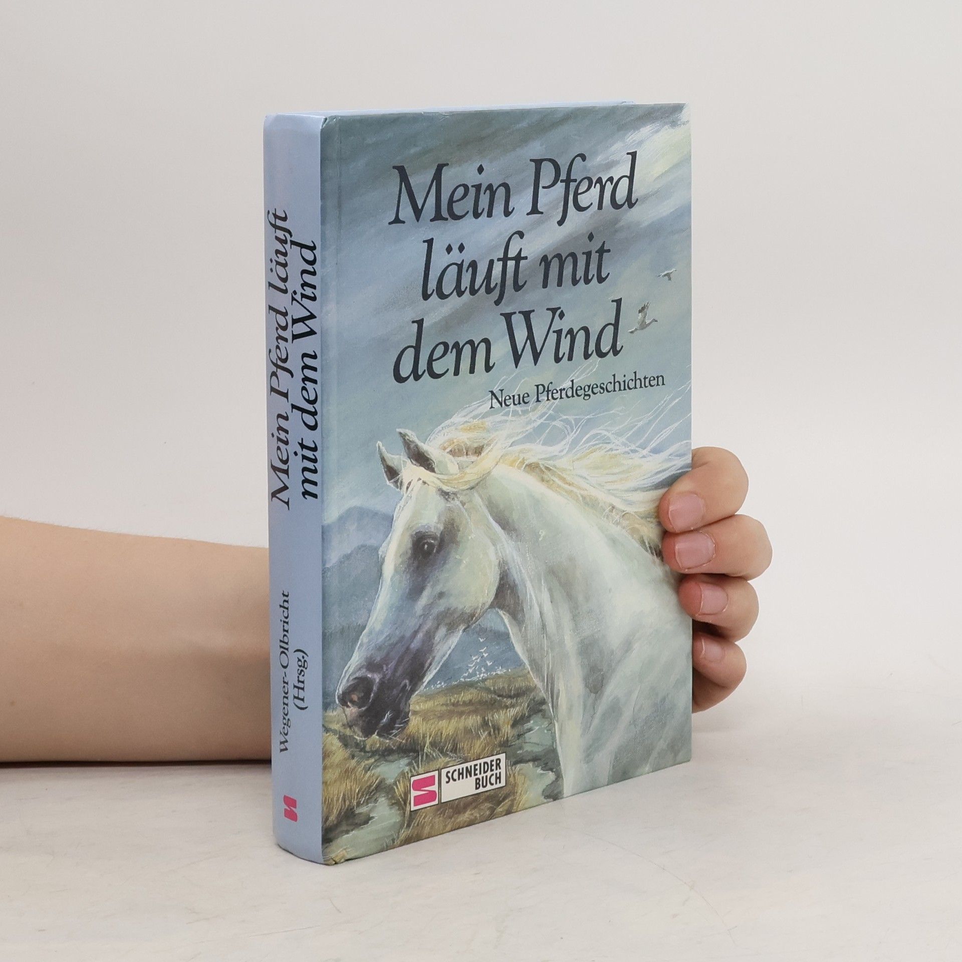 kolektiv Mein Pferd läuft mit dem Wind