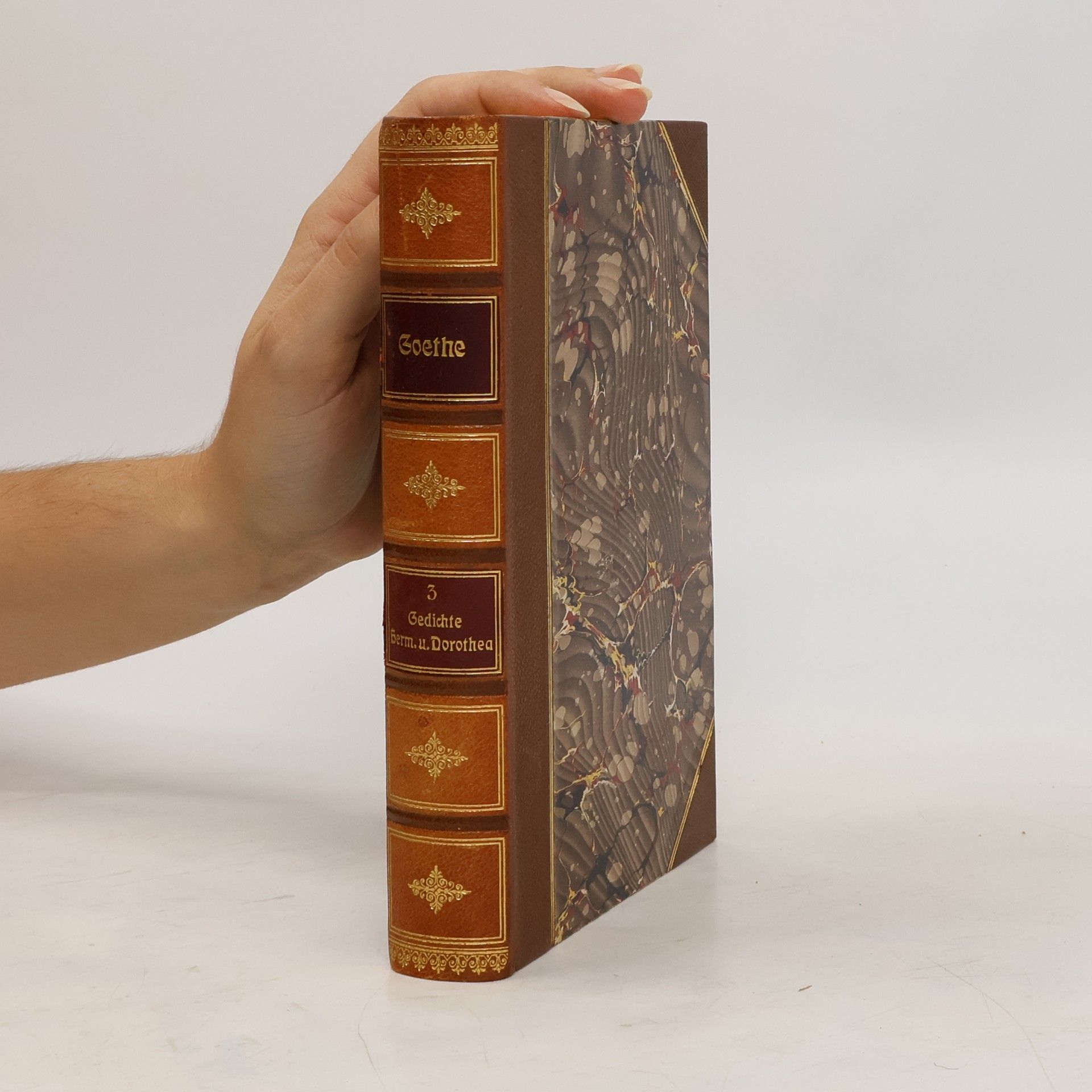 Johann Wolfgang von Goethe Goethes Werke 3