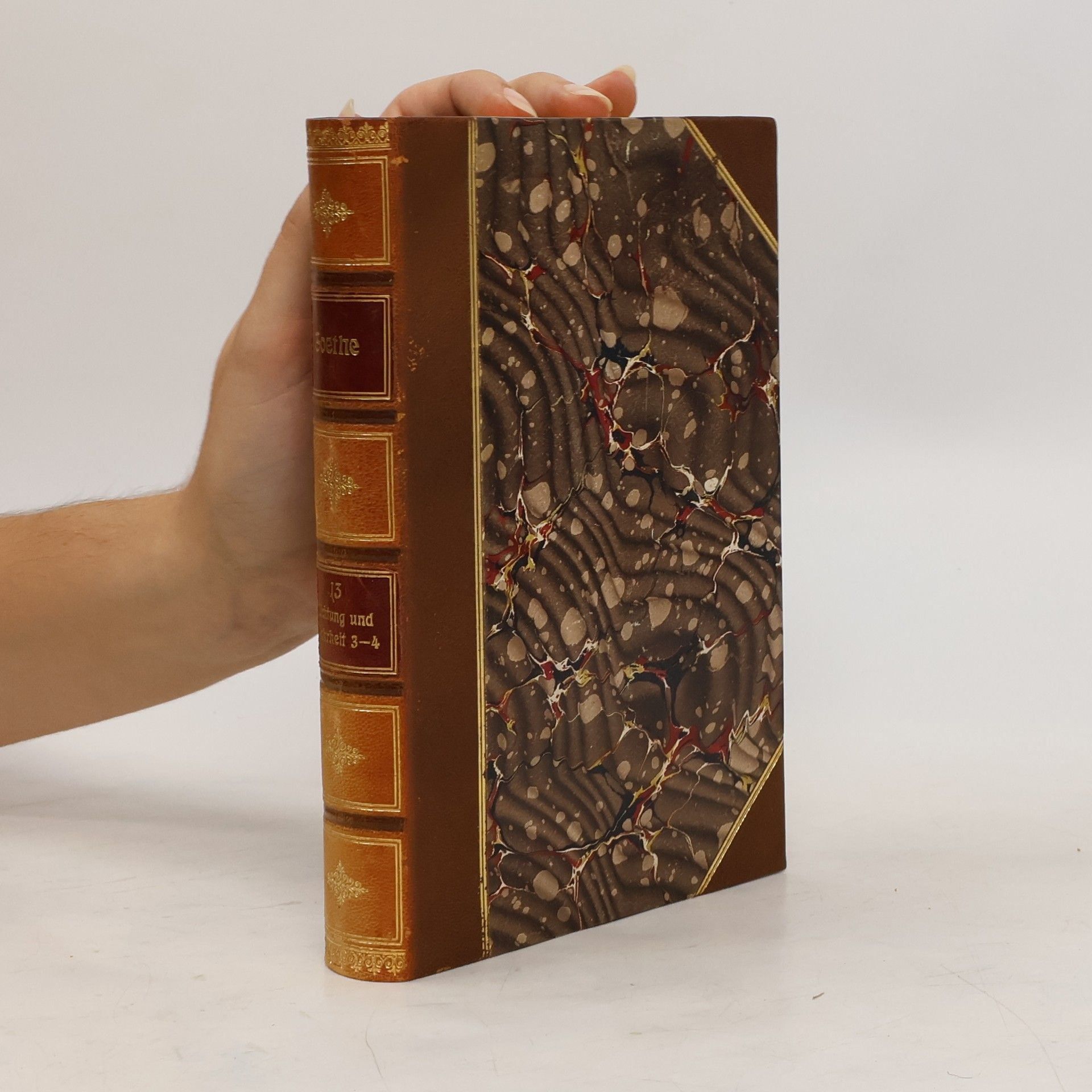 Johann Wolfgang von Goethe Goethes Werke 13
