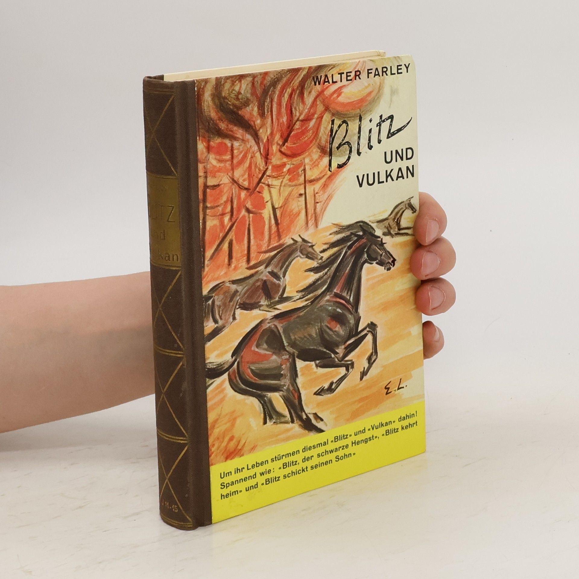 Walter Farley Blitz und Vulkan