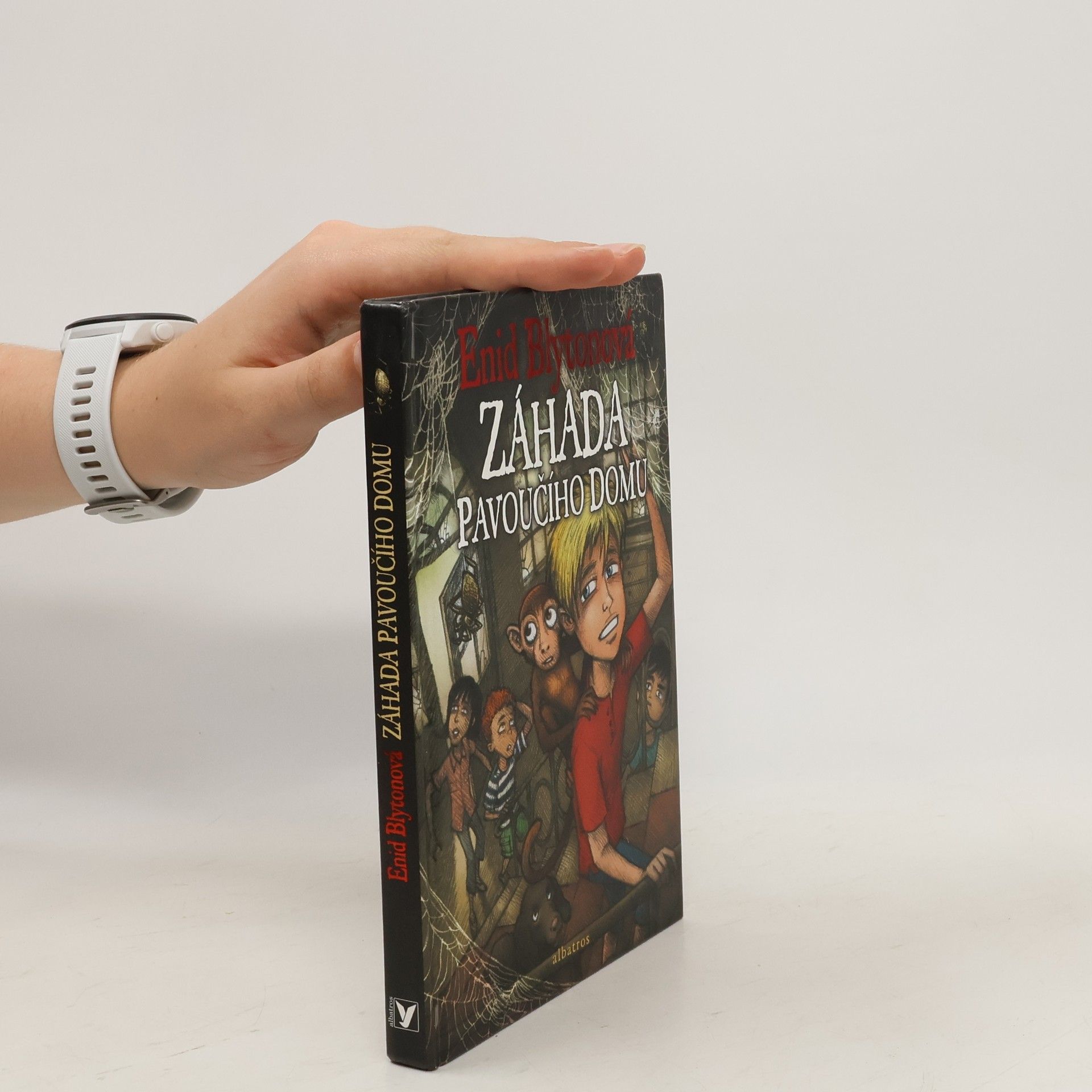 Enid Blyton Záhada Pavoučího domu