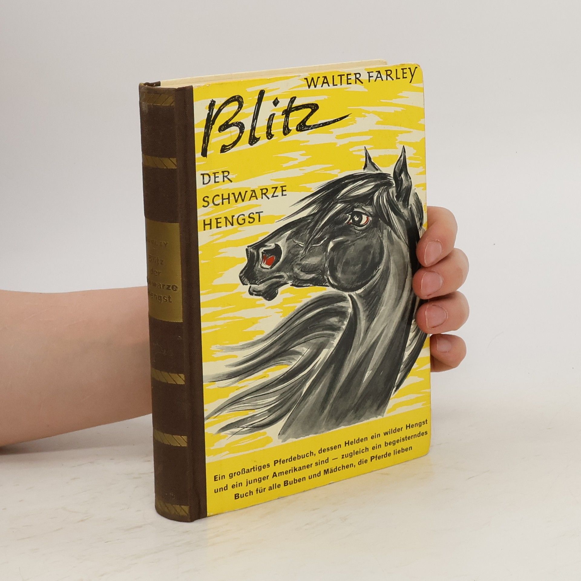 Walter Farley Blitz der schwarze Hengst