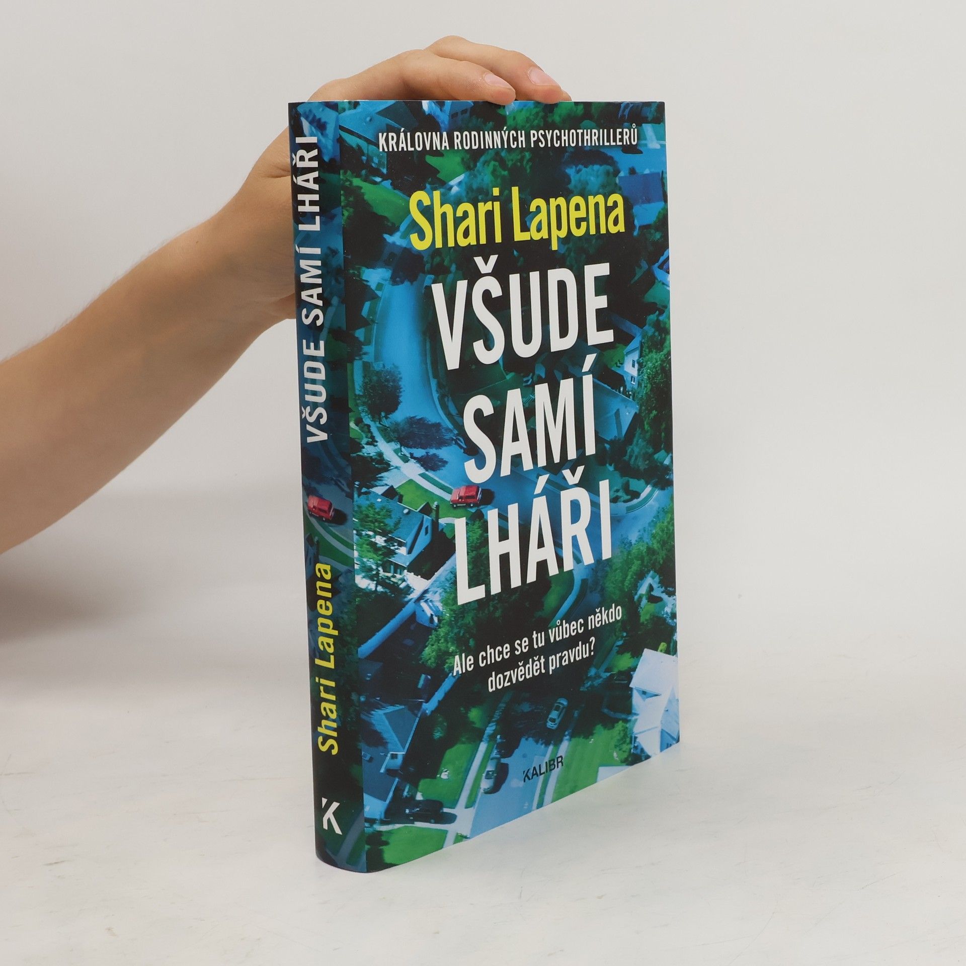 Shari Lapena Všude samí lháři