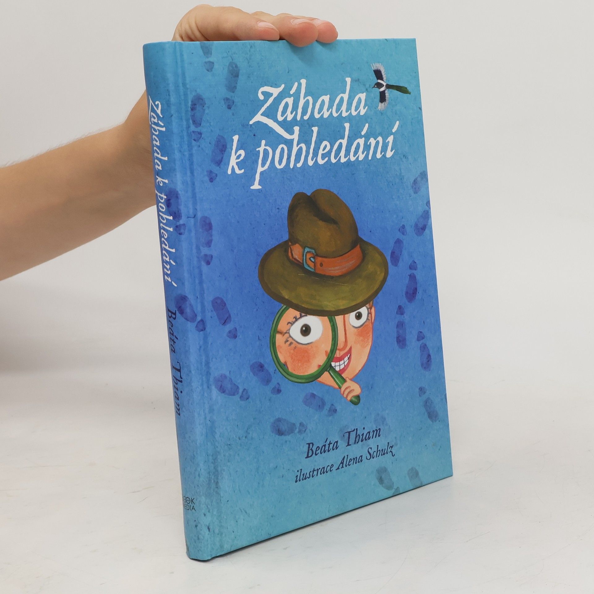 Záhada k pohledání